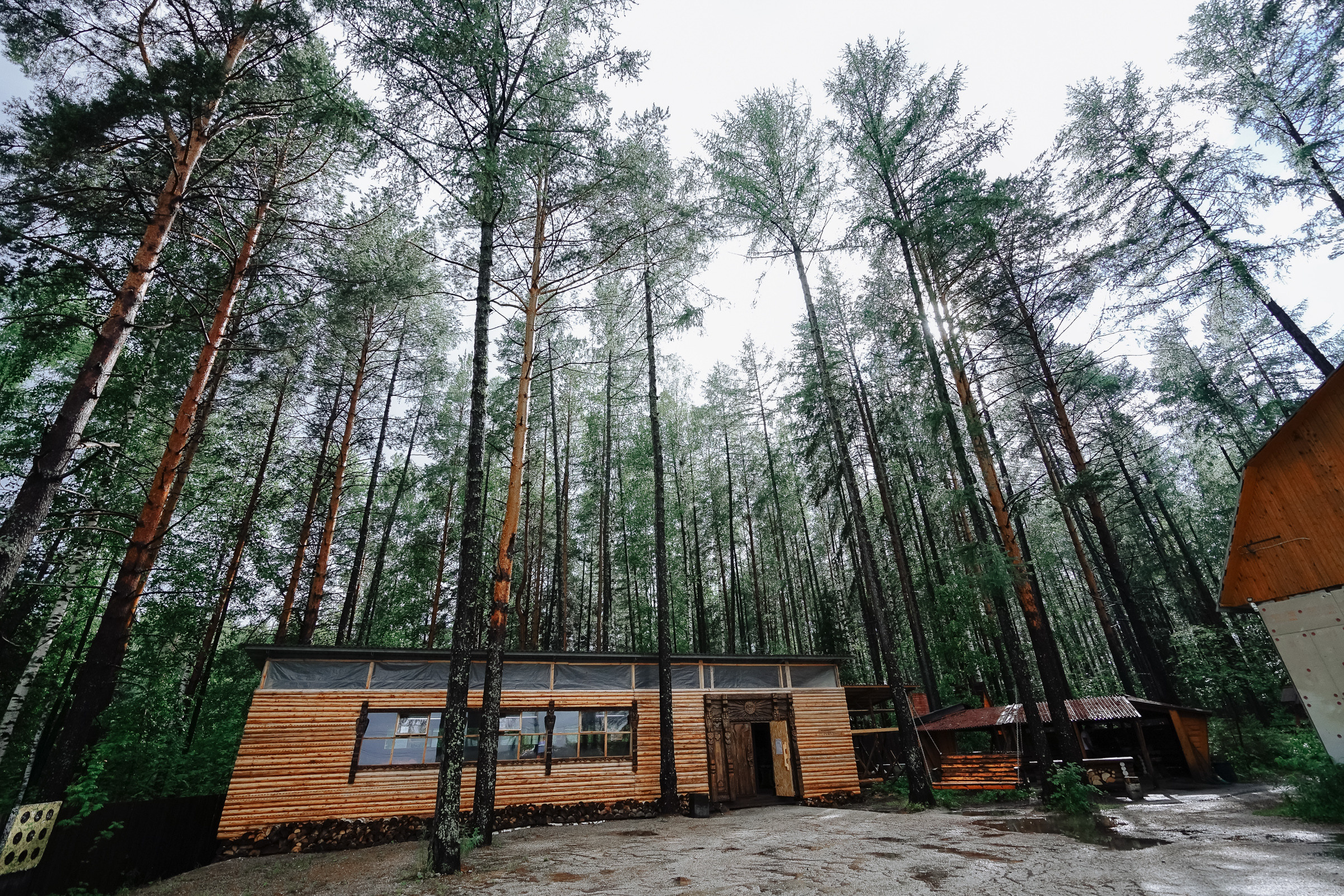 Душевная свадьба Никиты и Кати. Семейные фотосессии и свадьбы в Краснотурьинске