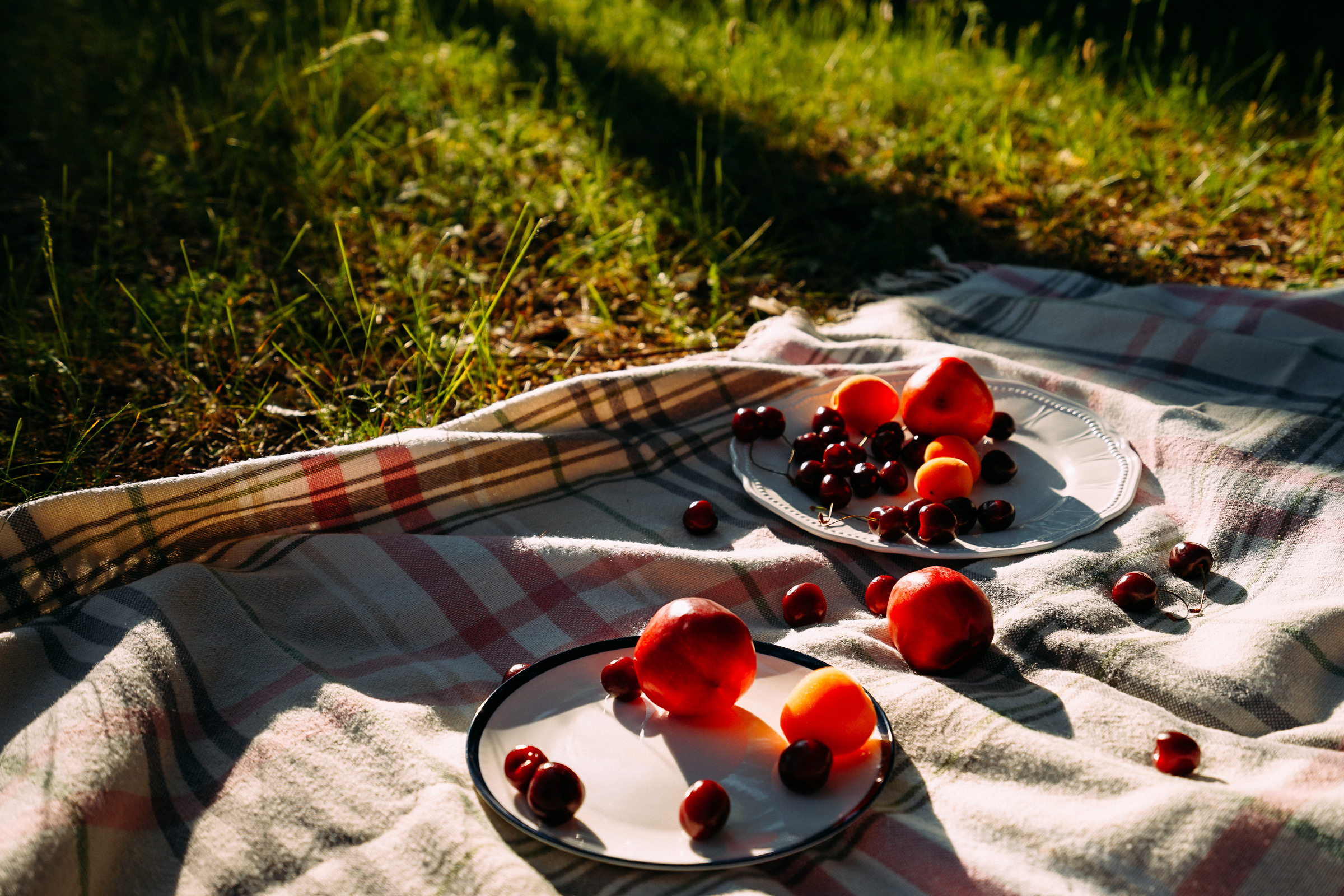 Лесной пикник. Семейные фотосессии и свадьбы в Краснотурьинске