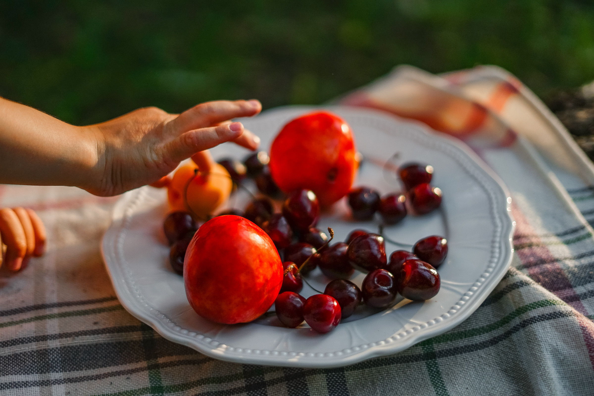 Лесной пикник. Семейные фотосессии и свадьбы в Краснотурьинске