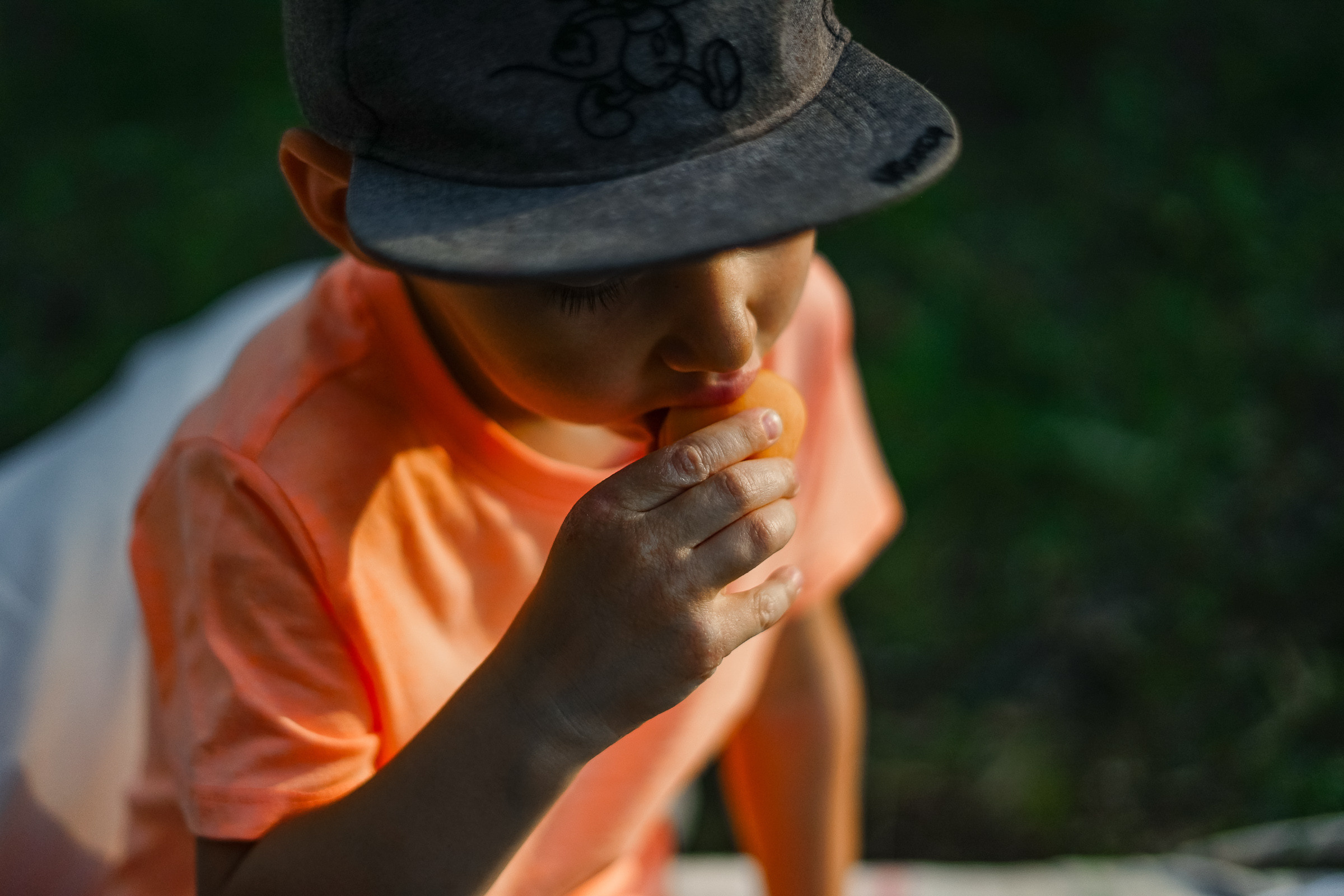Лесной пикник. Семейные фотосессии и свадьбы в Краснотурьинске