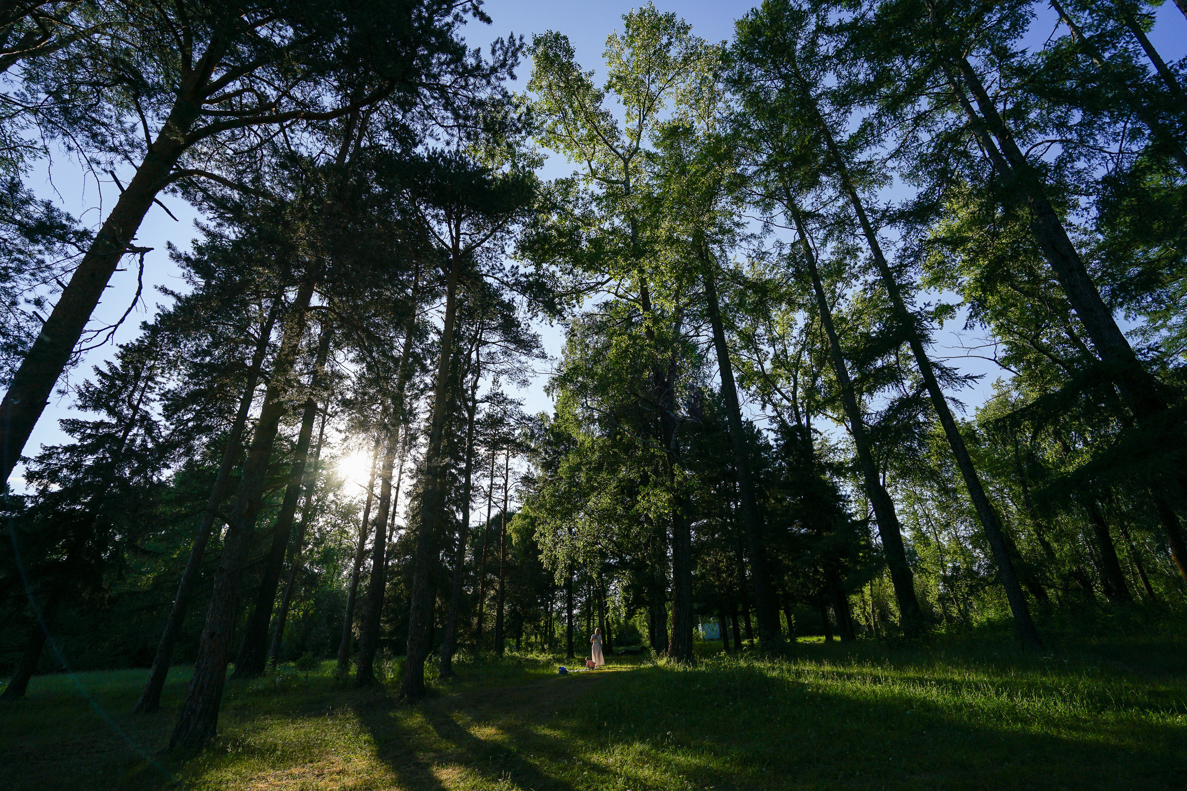 Лесной пикник. Семейные фотосессии и свадьбы в Краснотурьинске