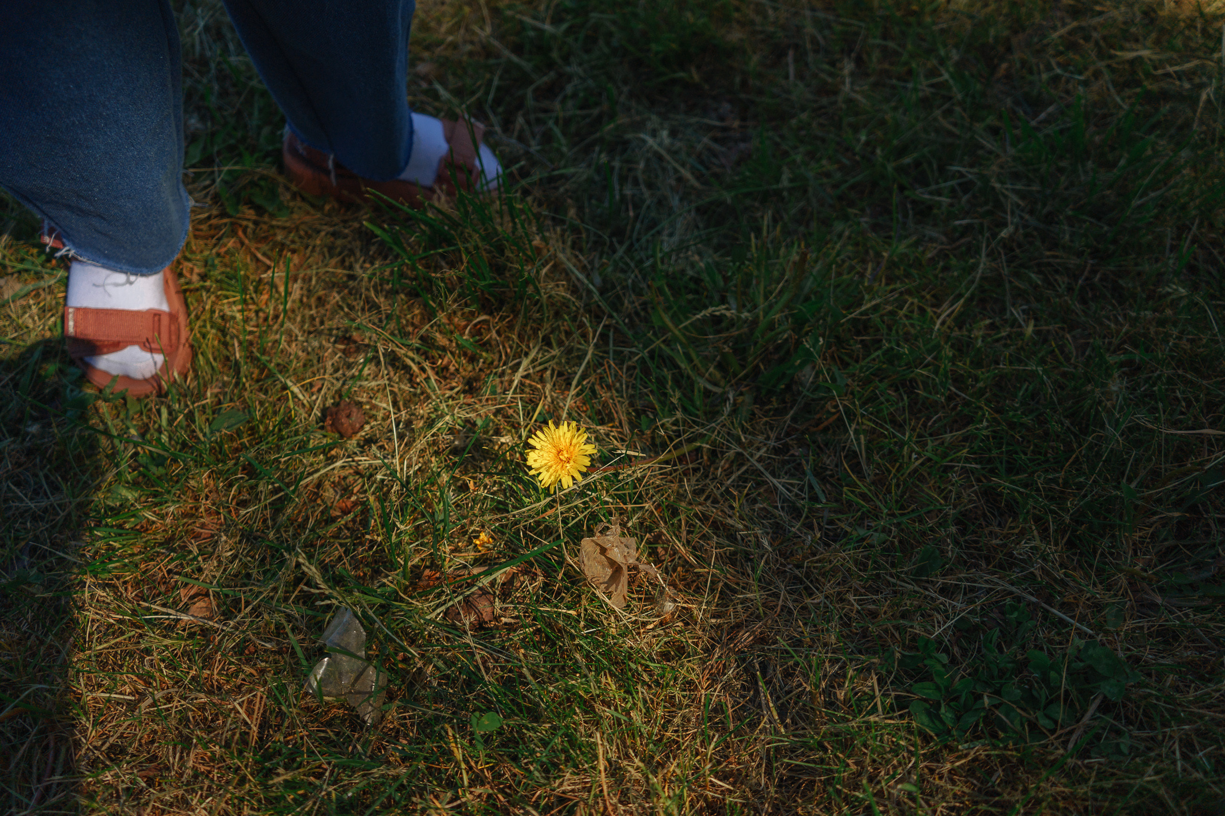 Реина и Мира. Семейные фотосессии и свадьбы в Краснотурьинске