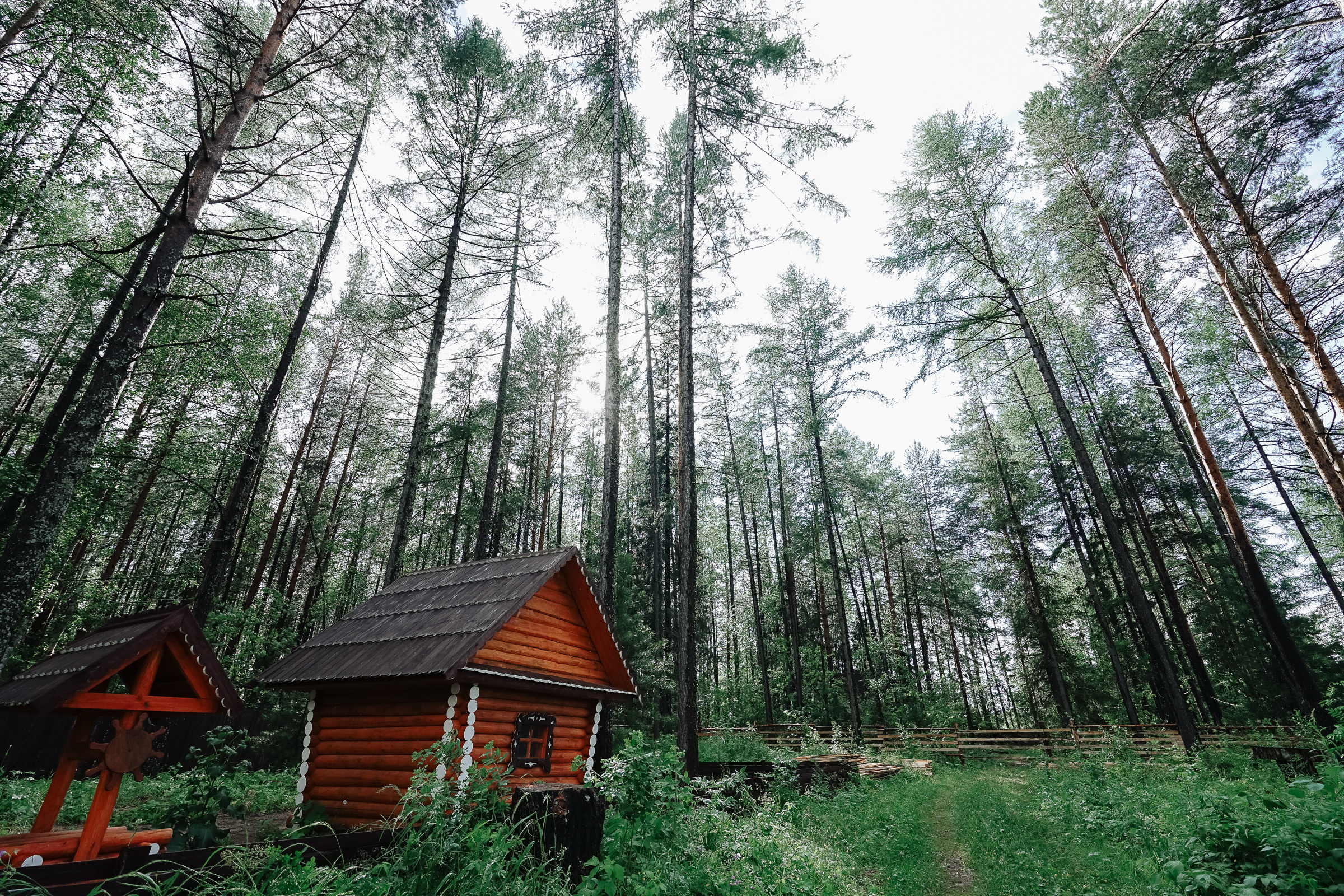 Душевная свадьба Никиты и Кати. Семейные фотосессии и свадьбы в Краснотурьинске