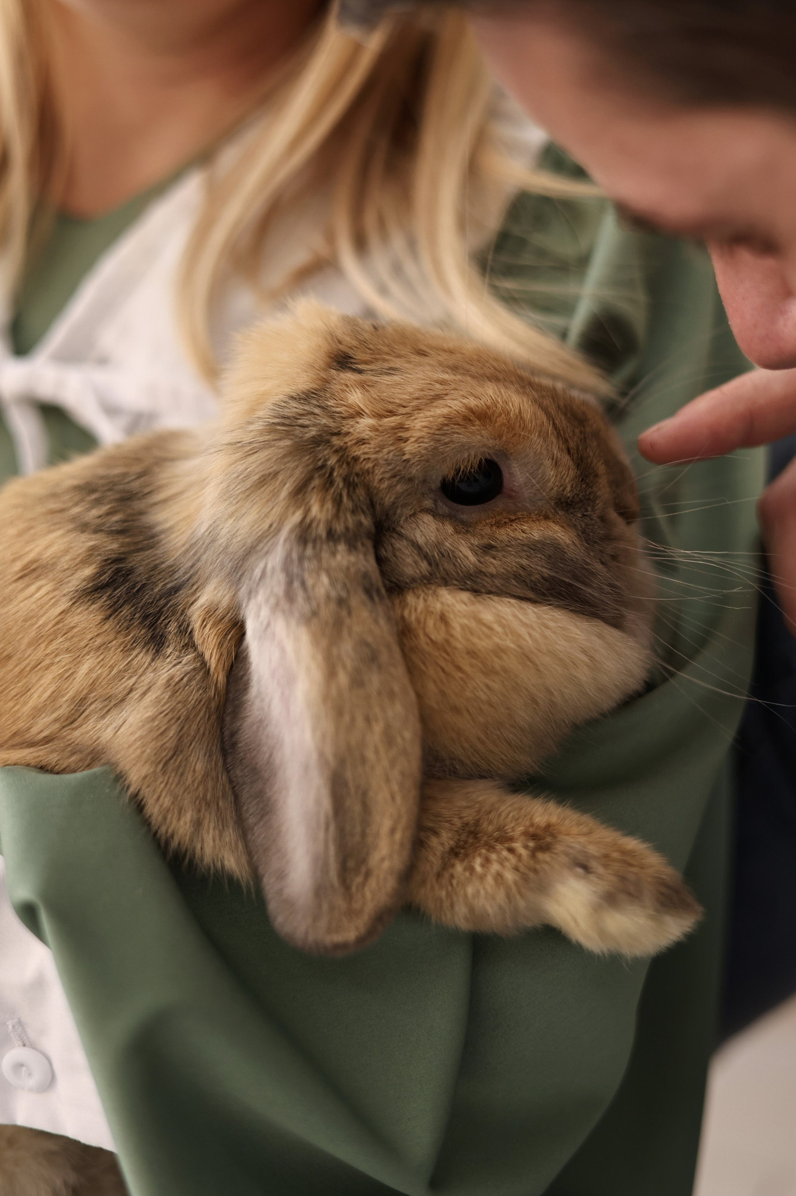 Семья Савелия и Тимофея. Свадебный и семейный фотограф в Воронеже Ксения Воротникова