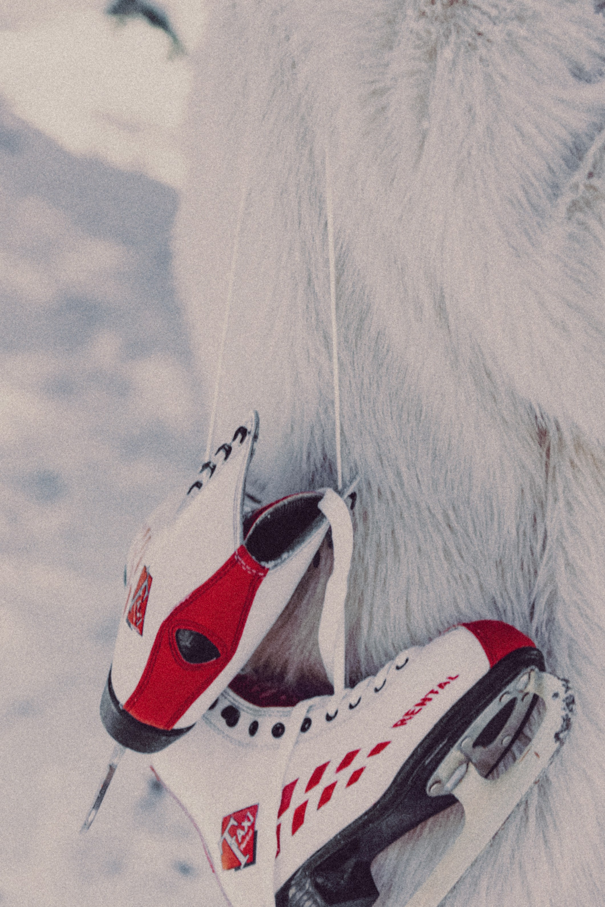 Марина. Портретный и свадебный фотограф в Симферополе Ирина Колесникова