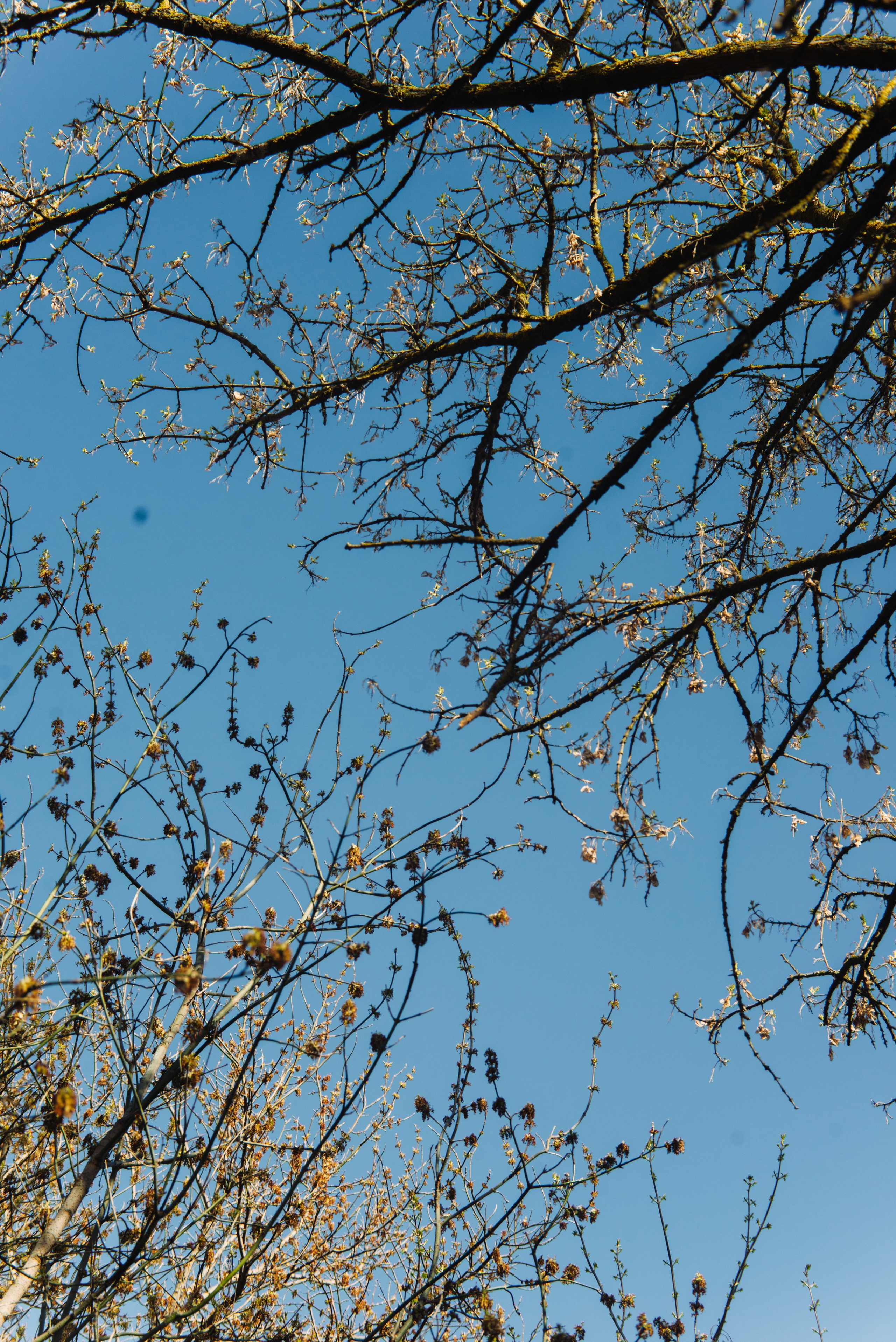 Орановка. Репортажный и портретный фотограф в Липецкой, Воронежской, Московской области Тёма Белоусов