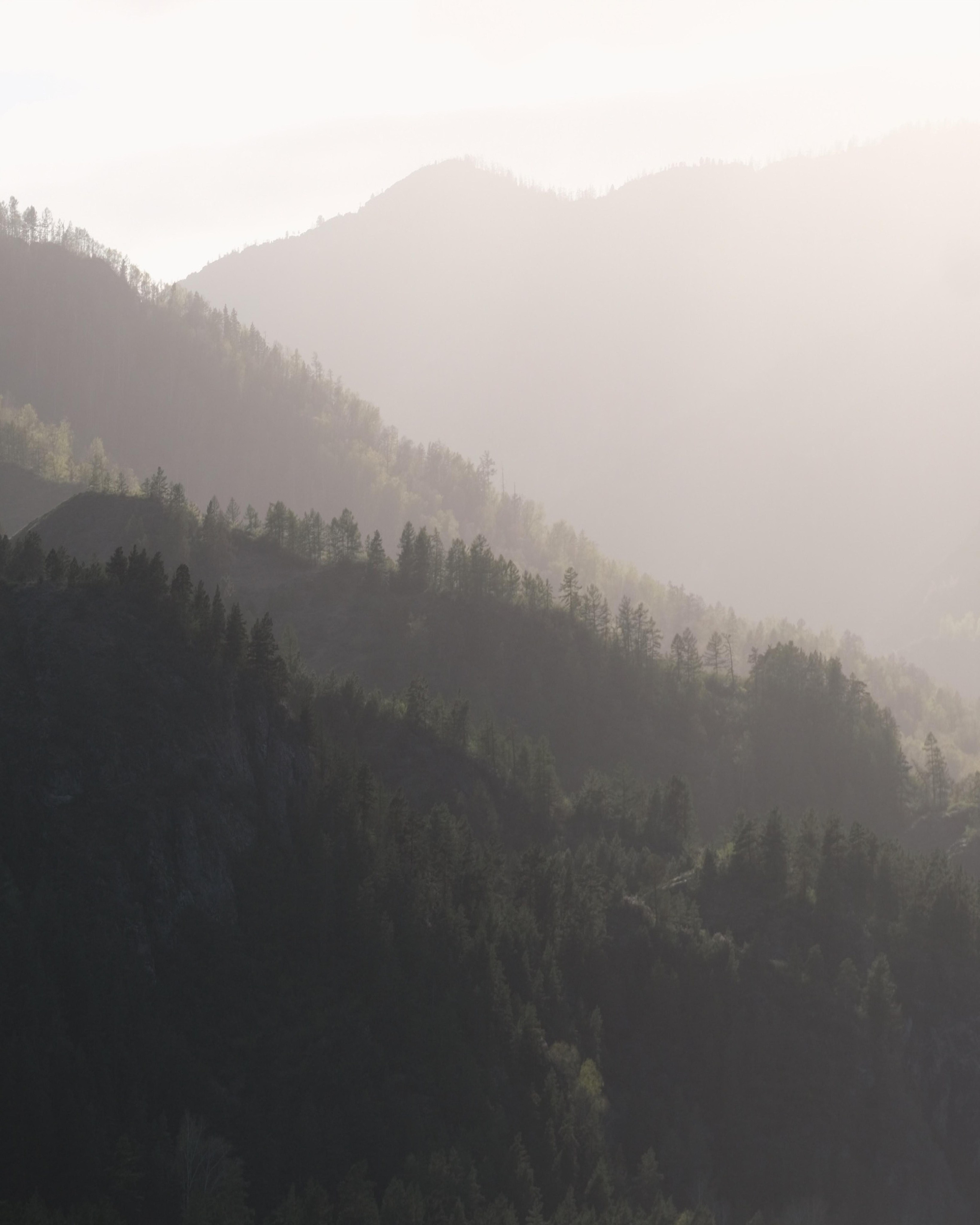 «Искусство XXI века» Краснодар. ARTEXPOPHOTO