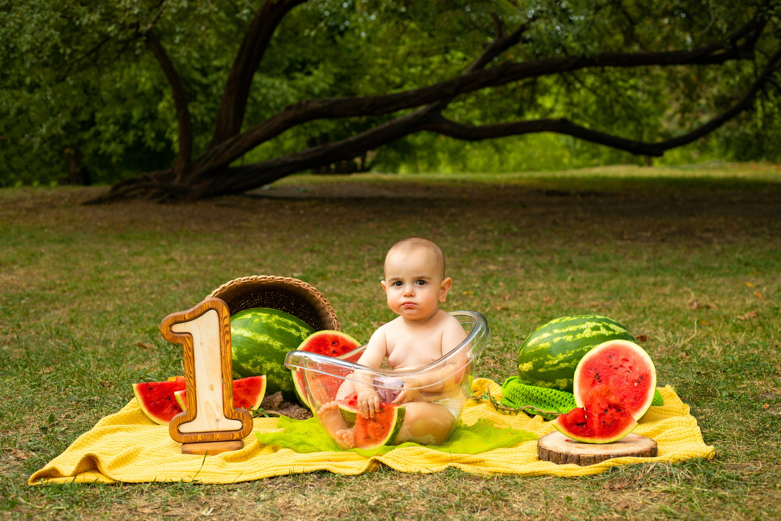Годовасие. Семейный фотограф новорожденных Нальчик