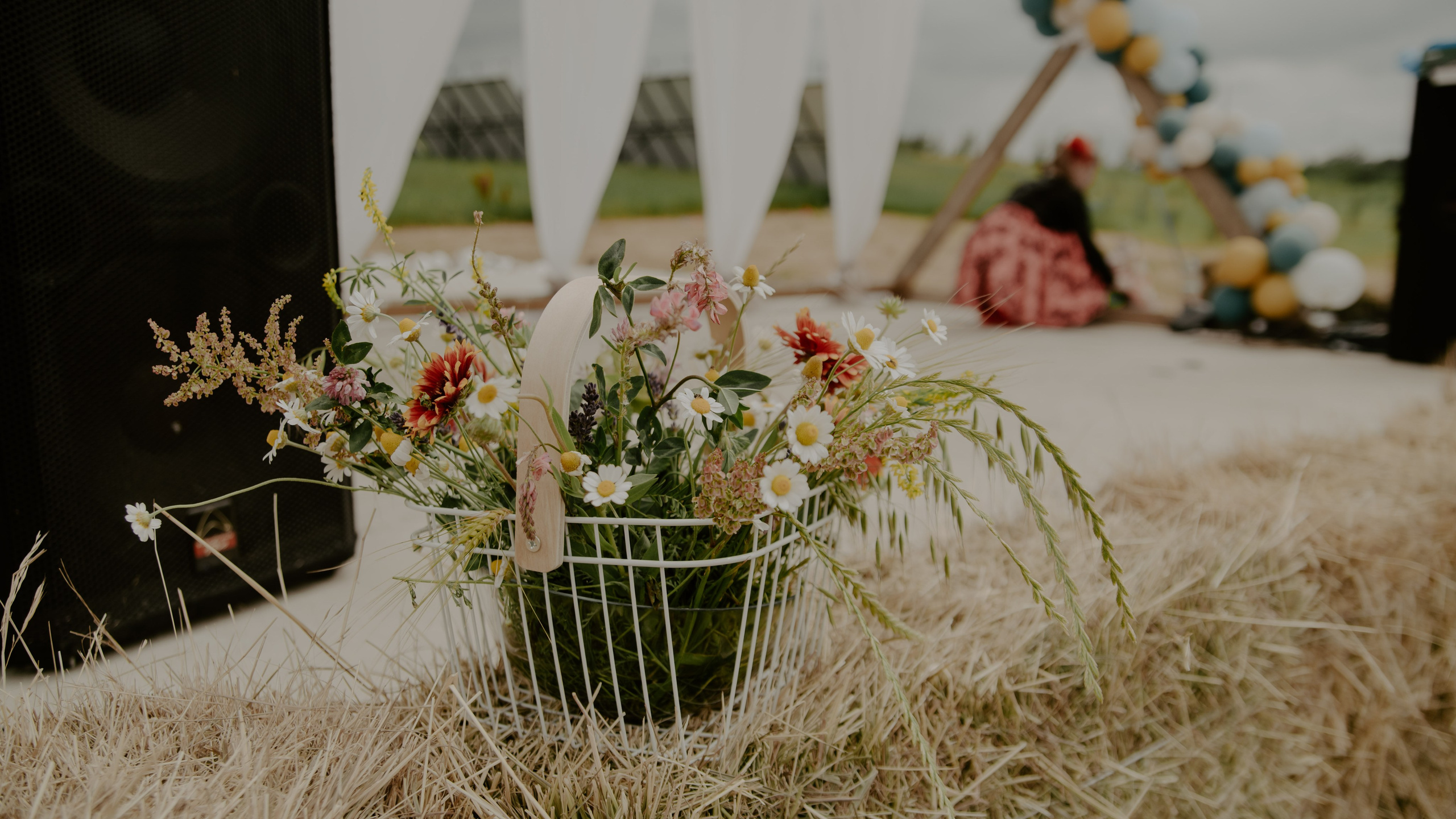 Репортаж праздника «Радосвет 8 лет». Фотограф и Видеограф Анапа, Новороссийск, Краснодар. Алина и Женя