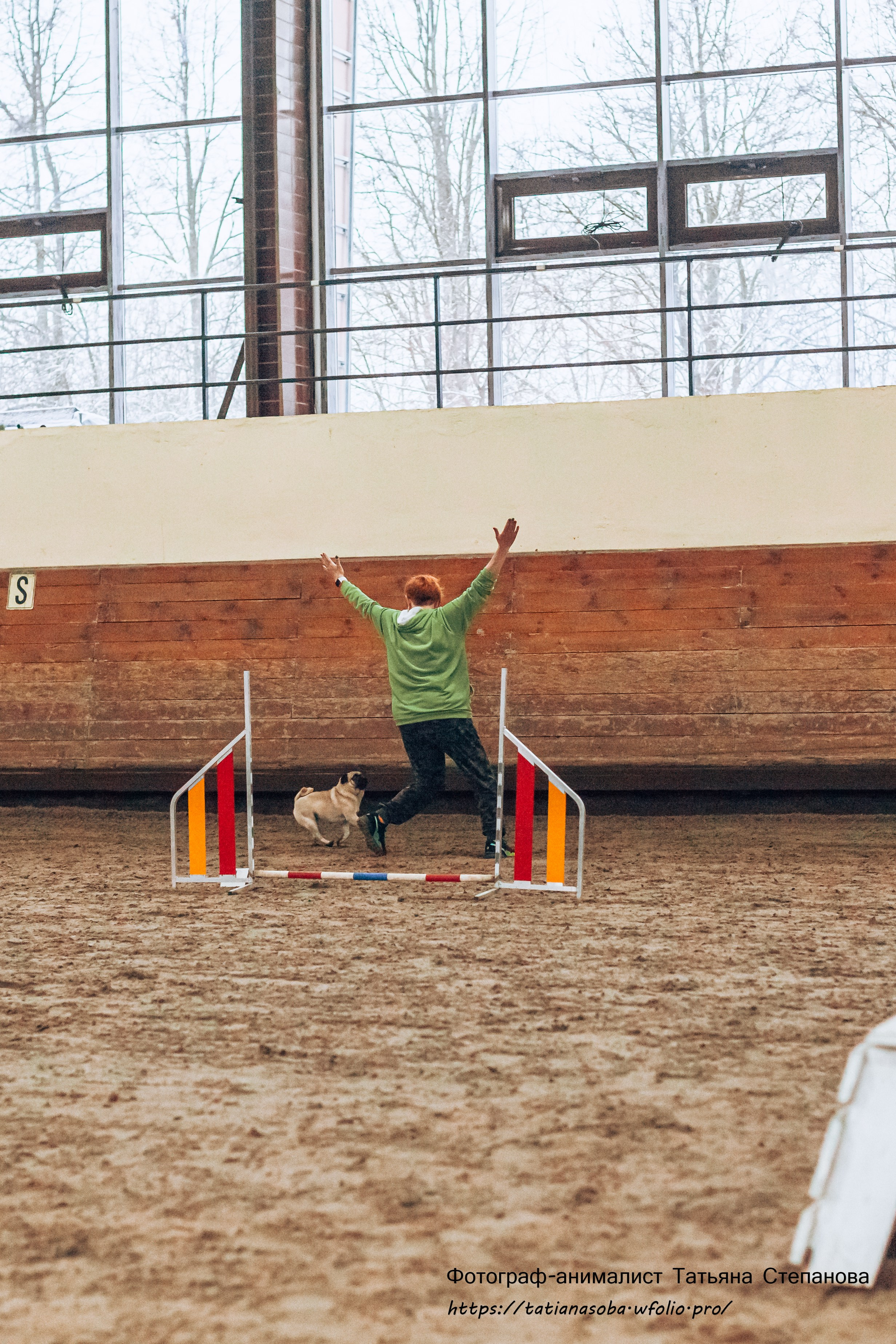 Соревнования по Аджилити 25.02.2024. Фотограф-анималист Татьяна Степанова