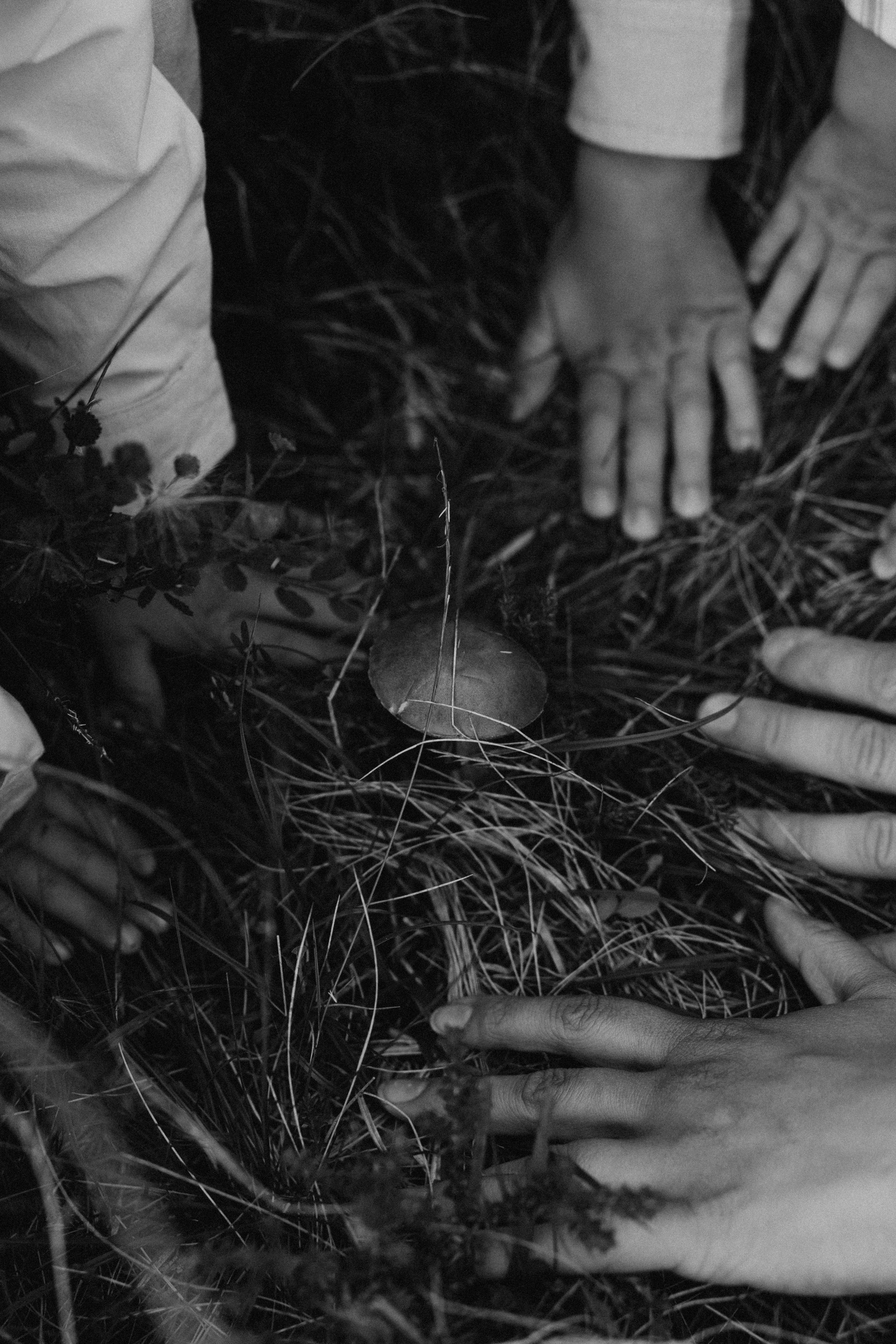 Любовь на краю света. Семейный фотограф в Мурманске Екатерина Юшкова