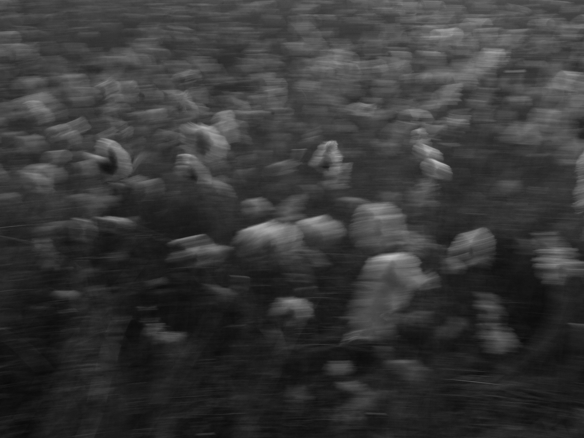 Внутривенные сны (2018-2023)