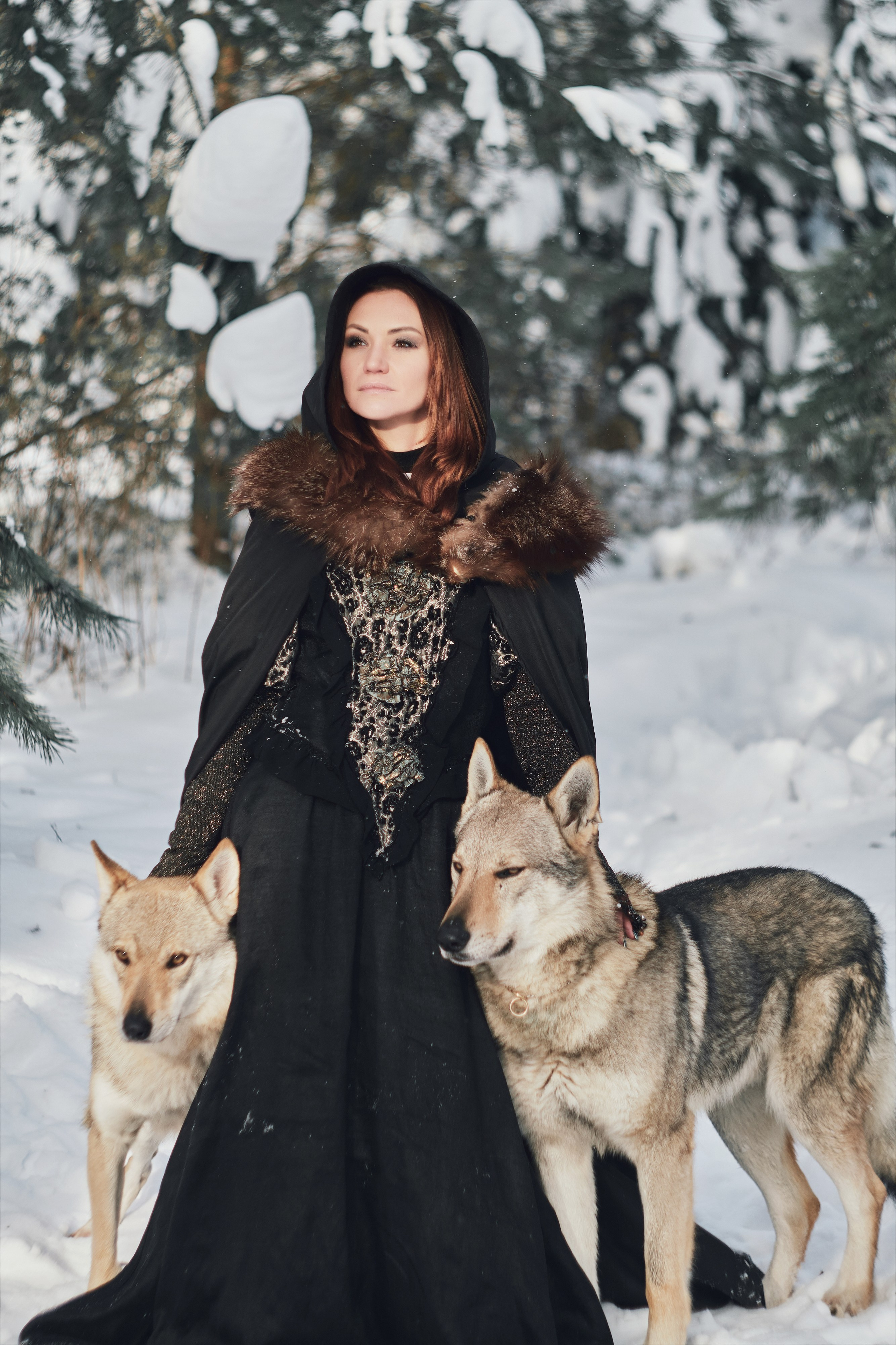 Фотосессии с животными. Портретный фотограф в Москве Виктория Колышева