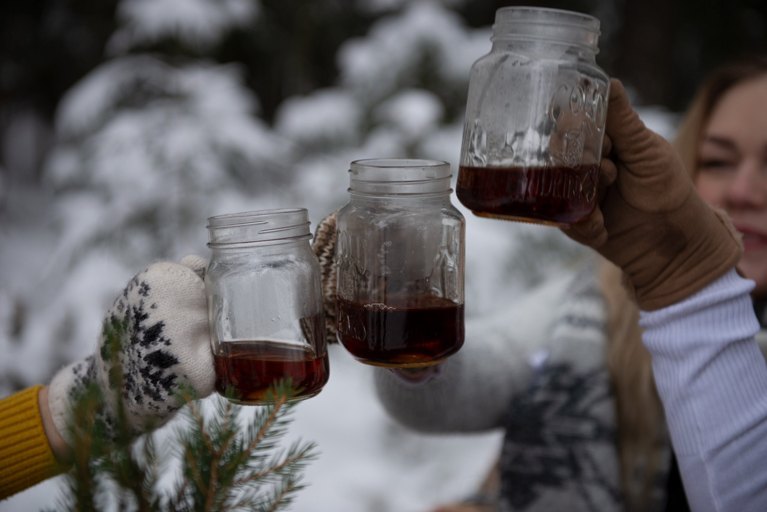 Зимний лес прекрасен. Творческий фотограф Вологда