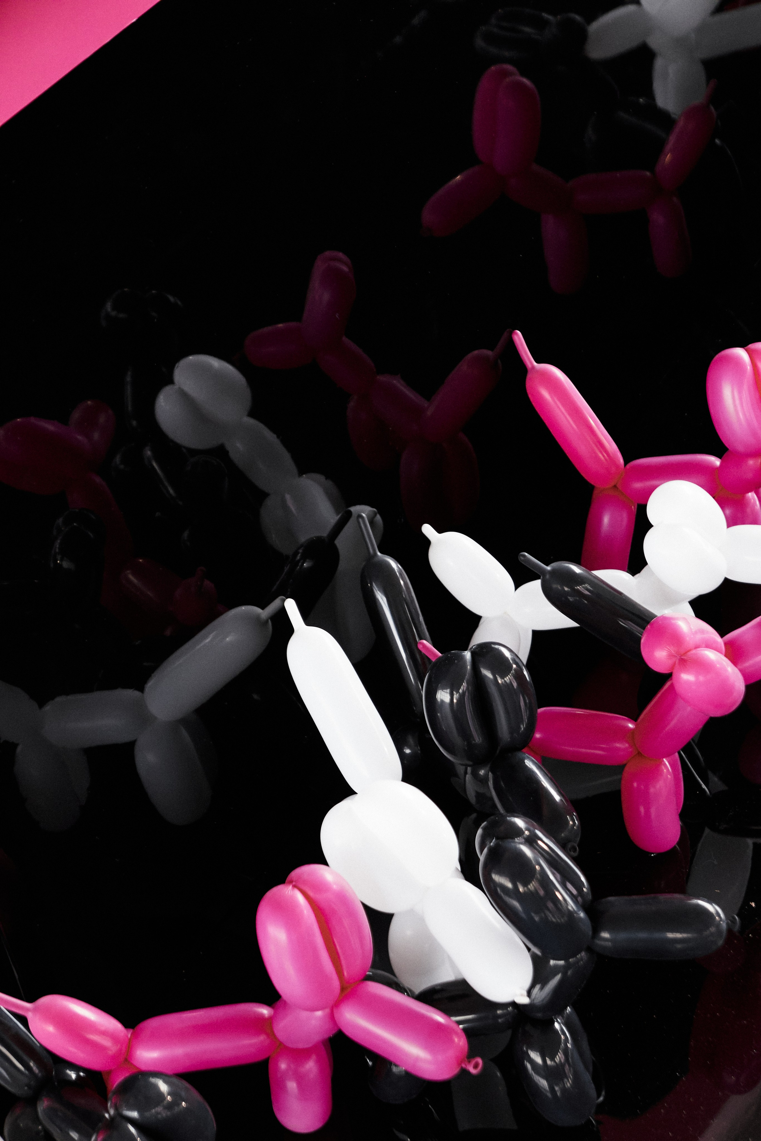 Александр и Ксения. Свадебный организатор в Тольятти | Самаре