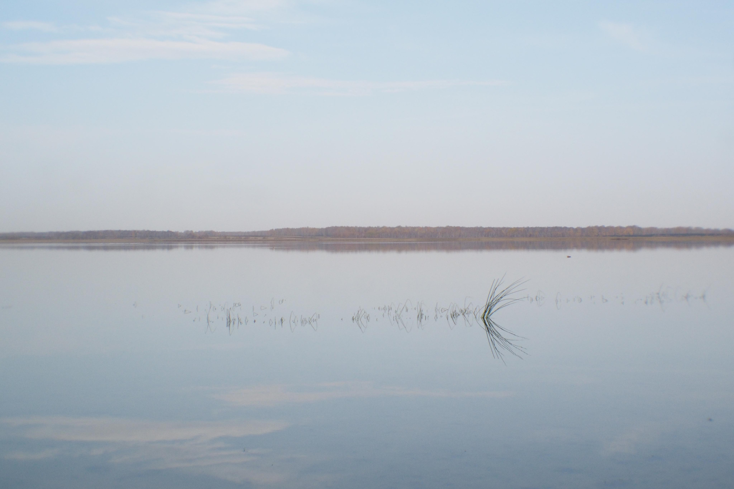 Этот прекрасный мир