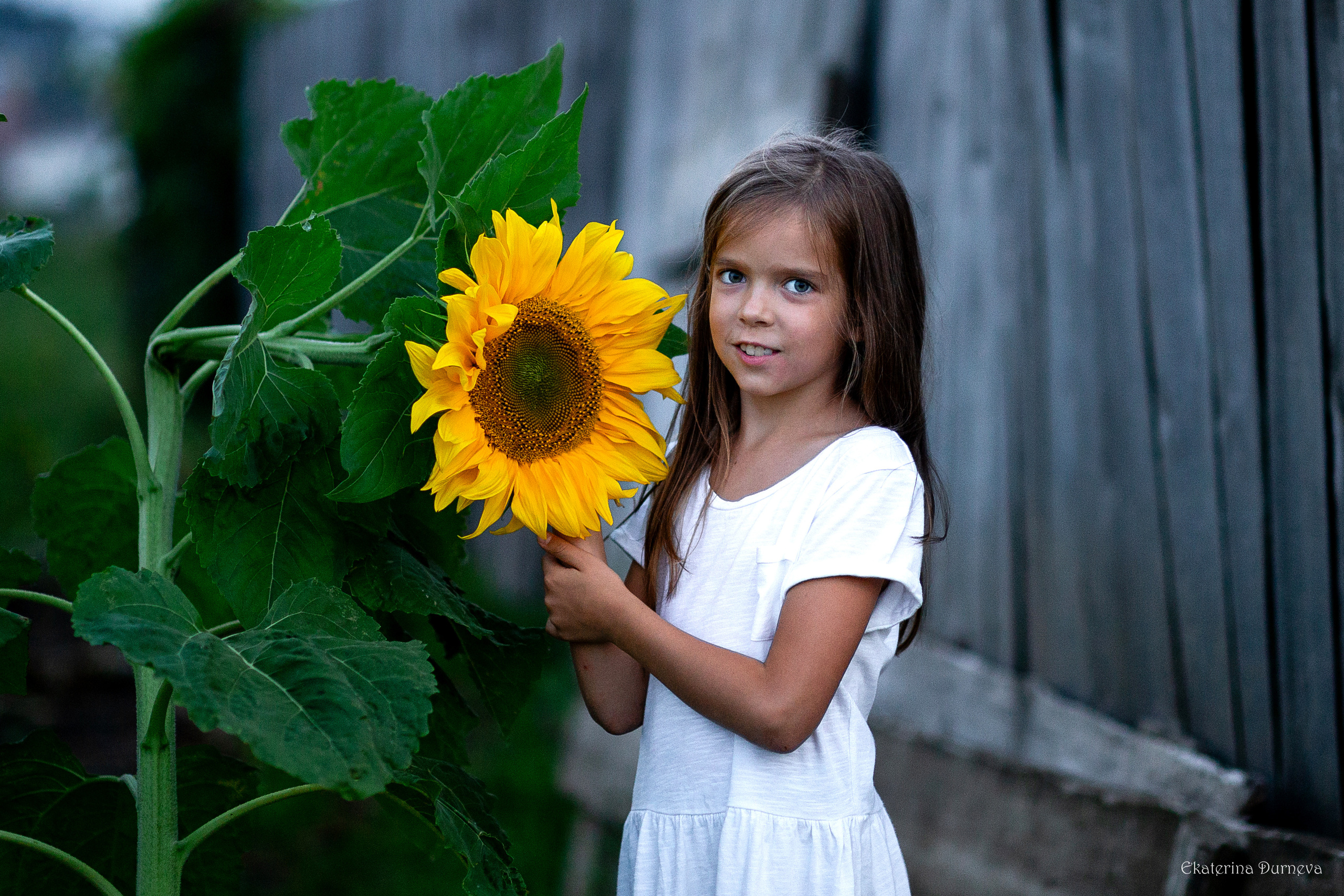 Детские и семейные фотосессии. Детский и семейный фотограф в Екатеринбурге Дурнева Екатерина