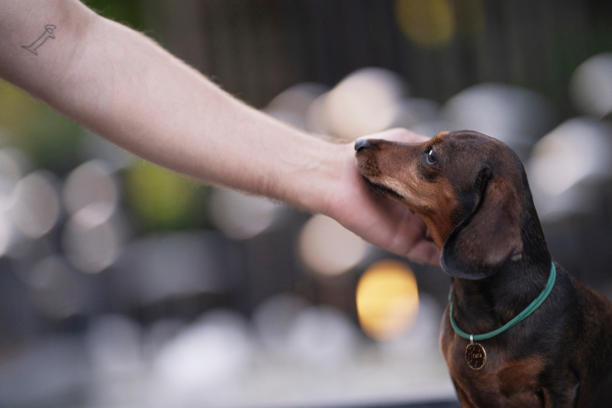 Алексей, Гага и рассвет. Kameramotor74