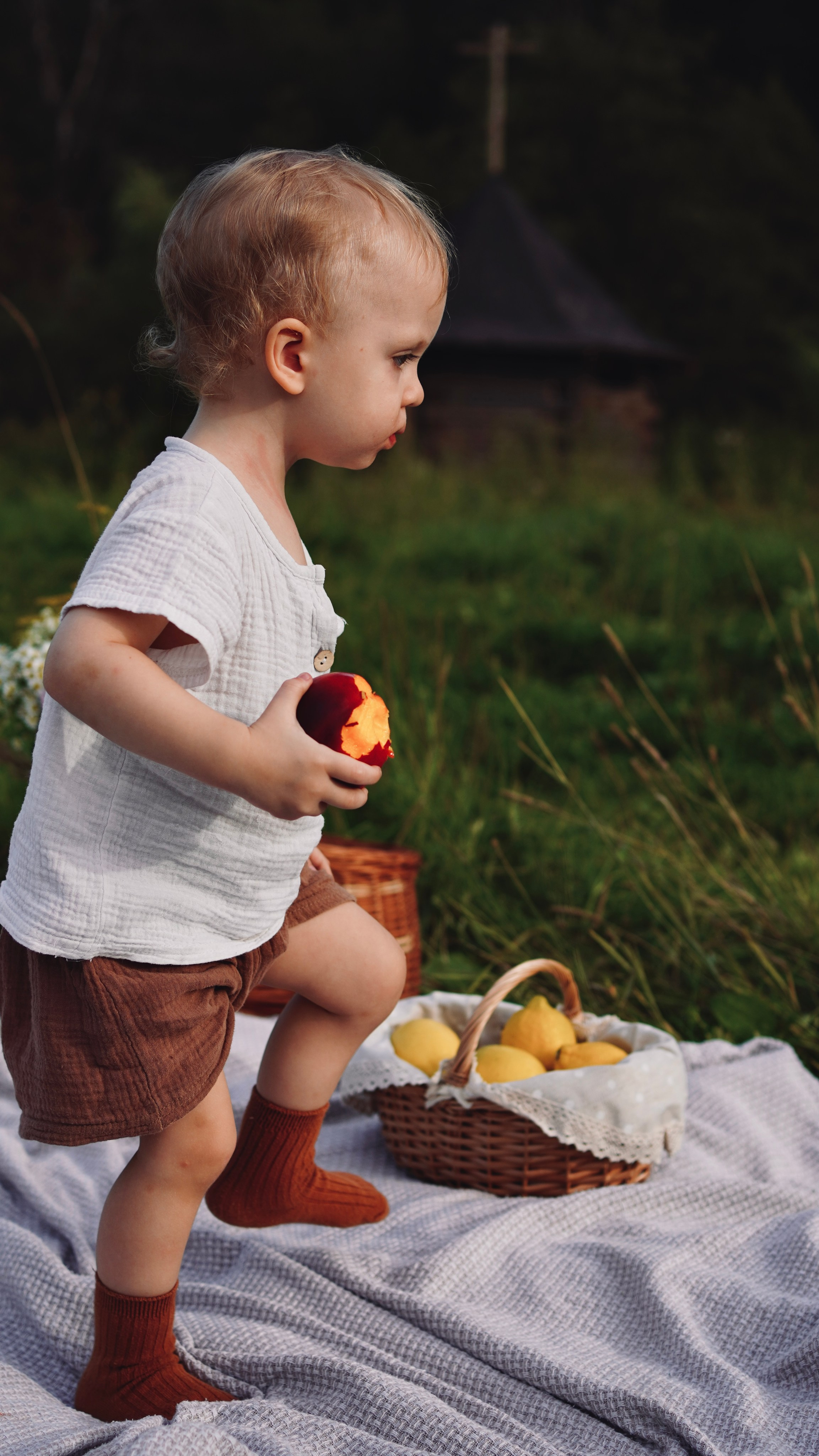 Прогулка в августе. Семейный и детский фотограф в Зеленограде Коваленко Дарья. Съемка праздников и выпускных, дней рождений