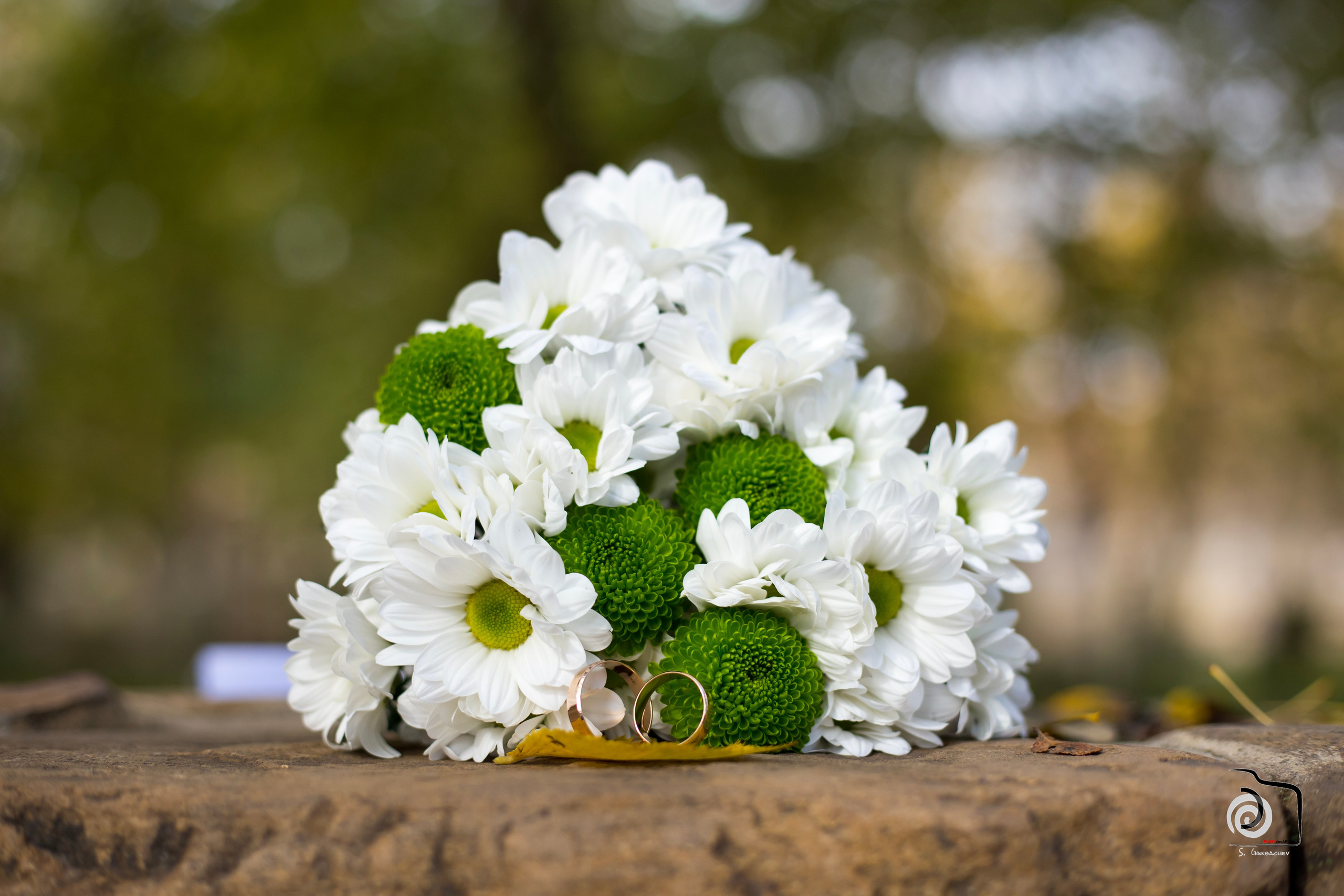 Илья и Валерия. Фотограф Сергей Горбачёв