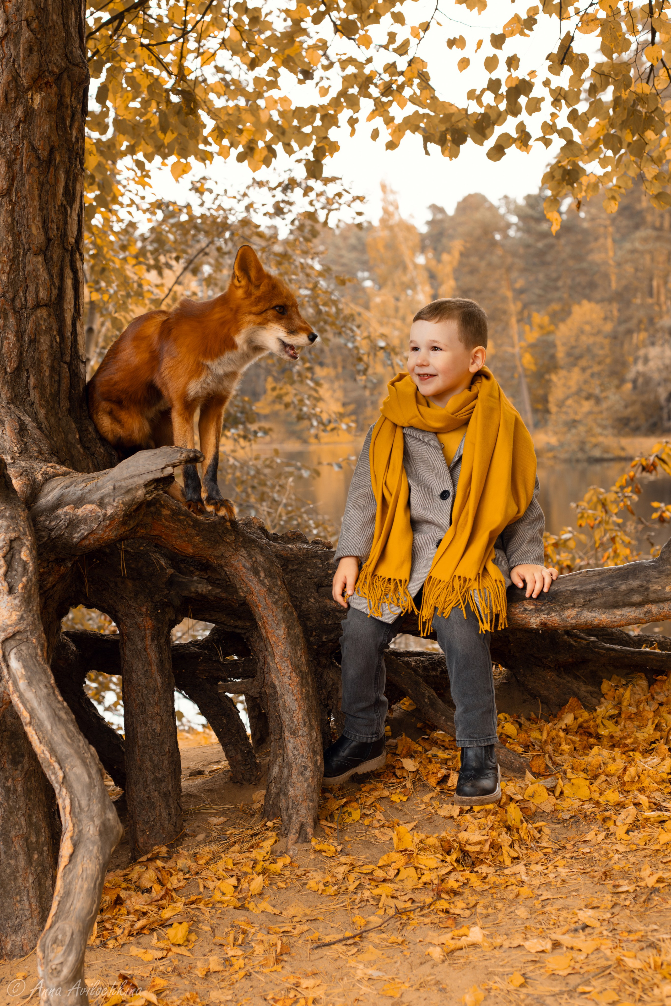 Альбом детских фотографий. Семейный и свадебный фотограф в Москве и Домодедово Анна Авилочкина