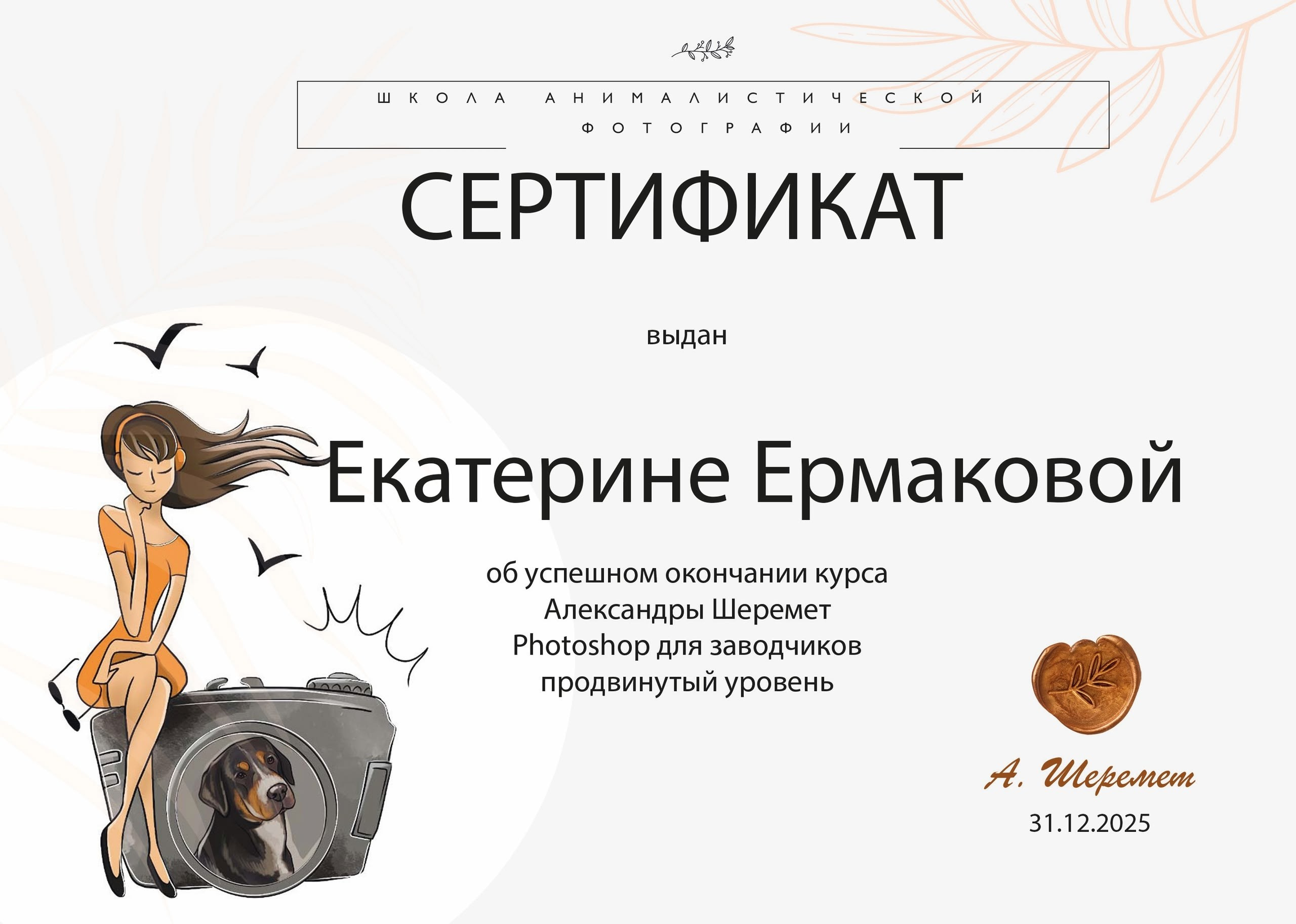 Сертификаты. Фотограф-анималист|Ермакова Екатерина
