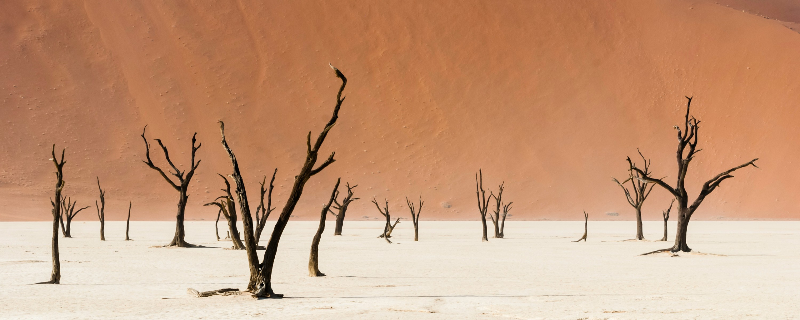 NATURE. Sailing Photographer Marina Semenova