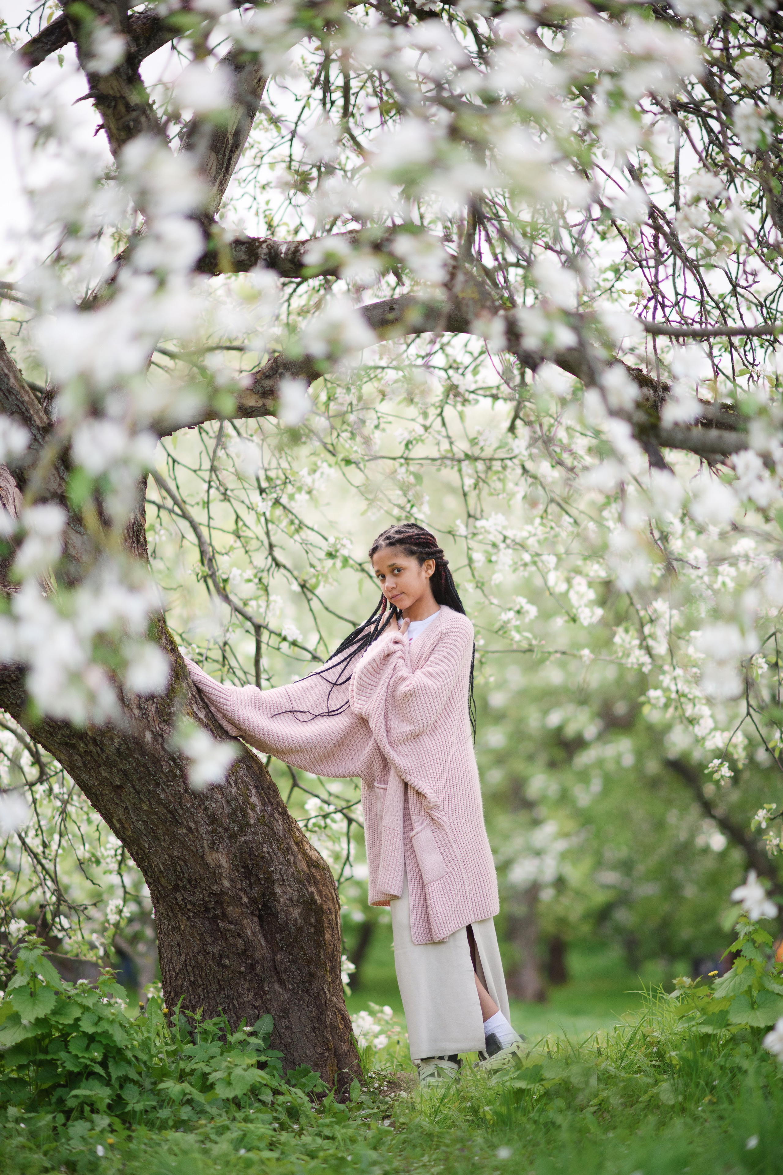 Яблони в Коломенском. Ясмина. Главная