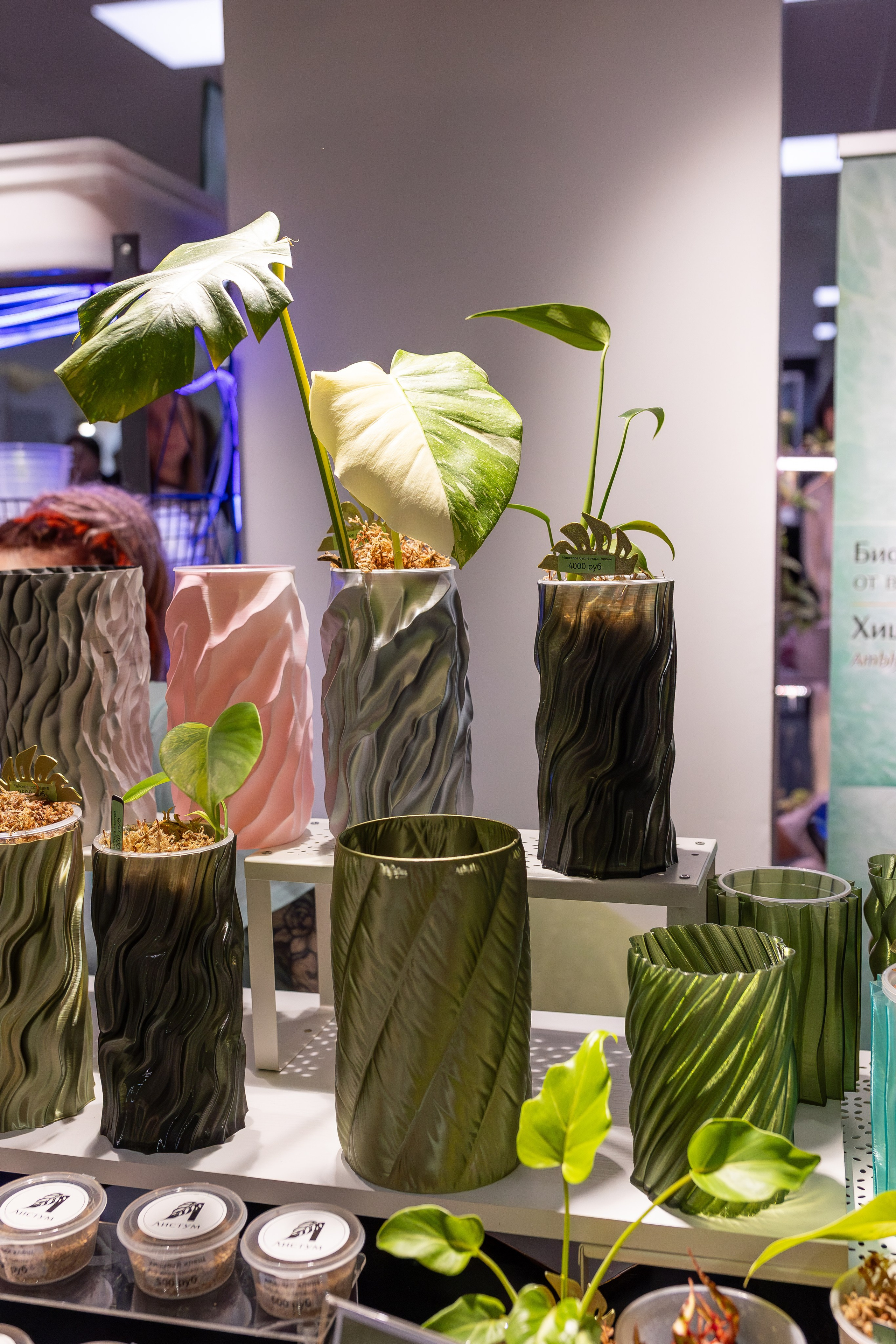 Монстериум апрель 2026. Александра Куликова фотограф, Москва