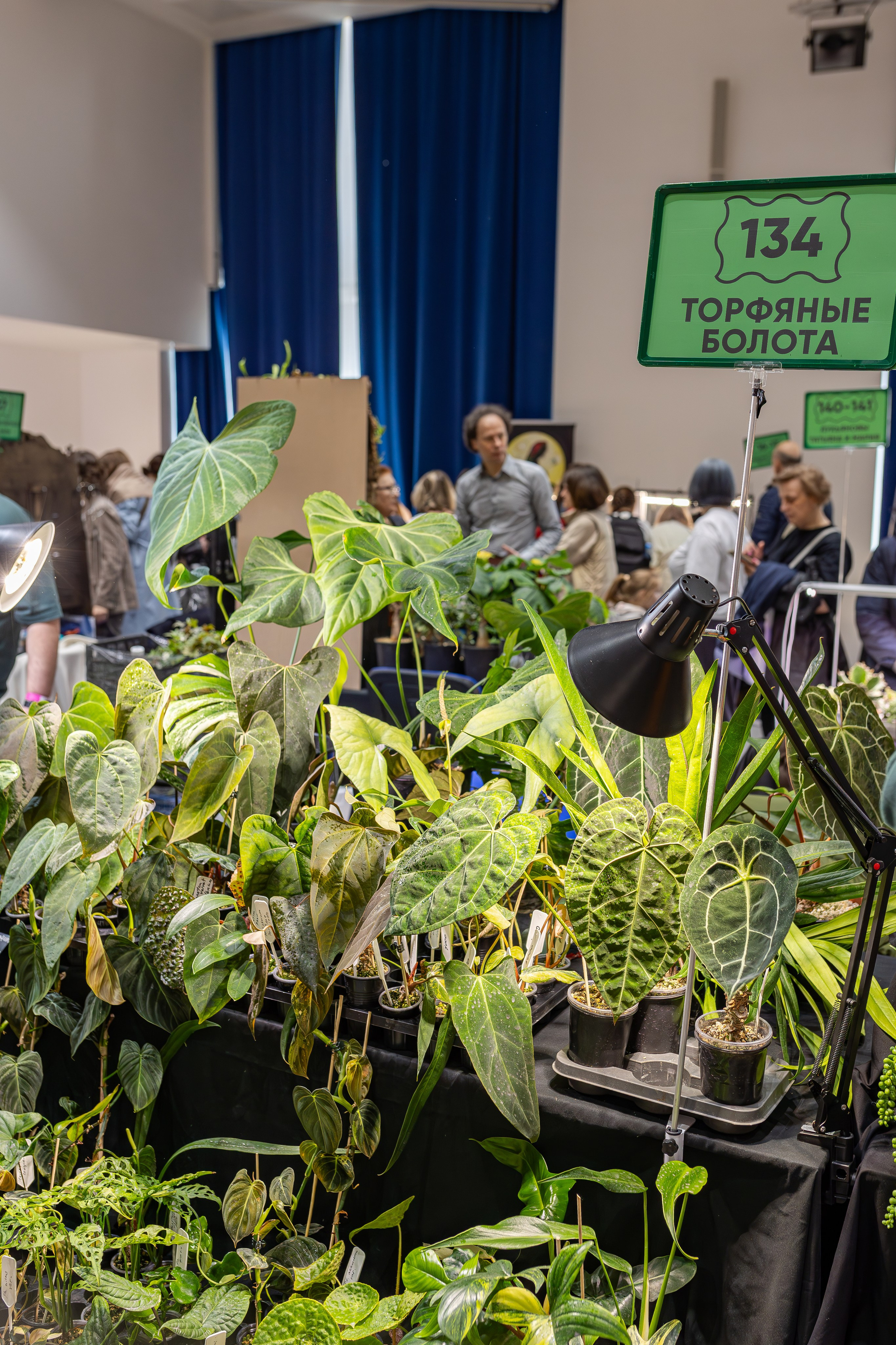 Монстериум апрель 2026. Александра Куликова фотограф, Москва