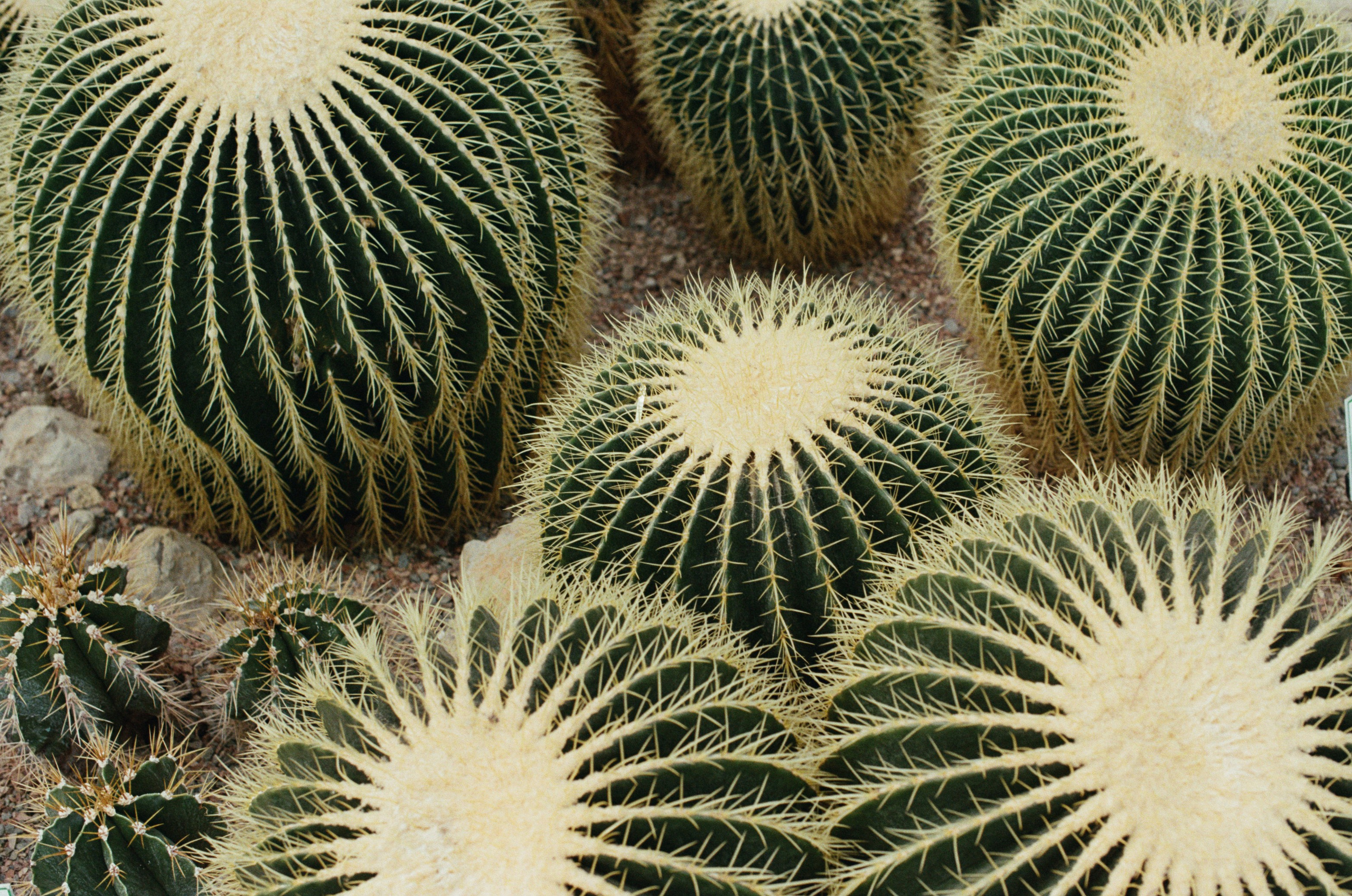 This time // ukraine, crimea III. EVER EXPOSED