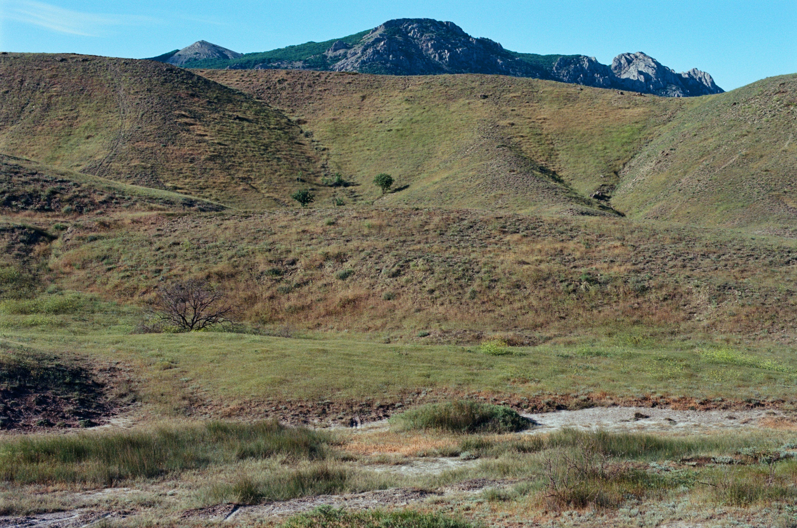 Kool-aid // ukraine, crimea VI. EVER EXPOSED