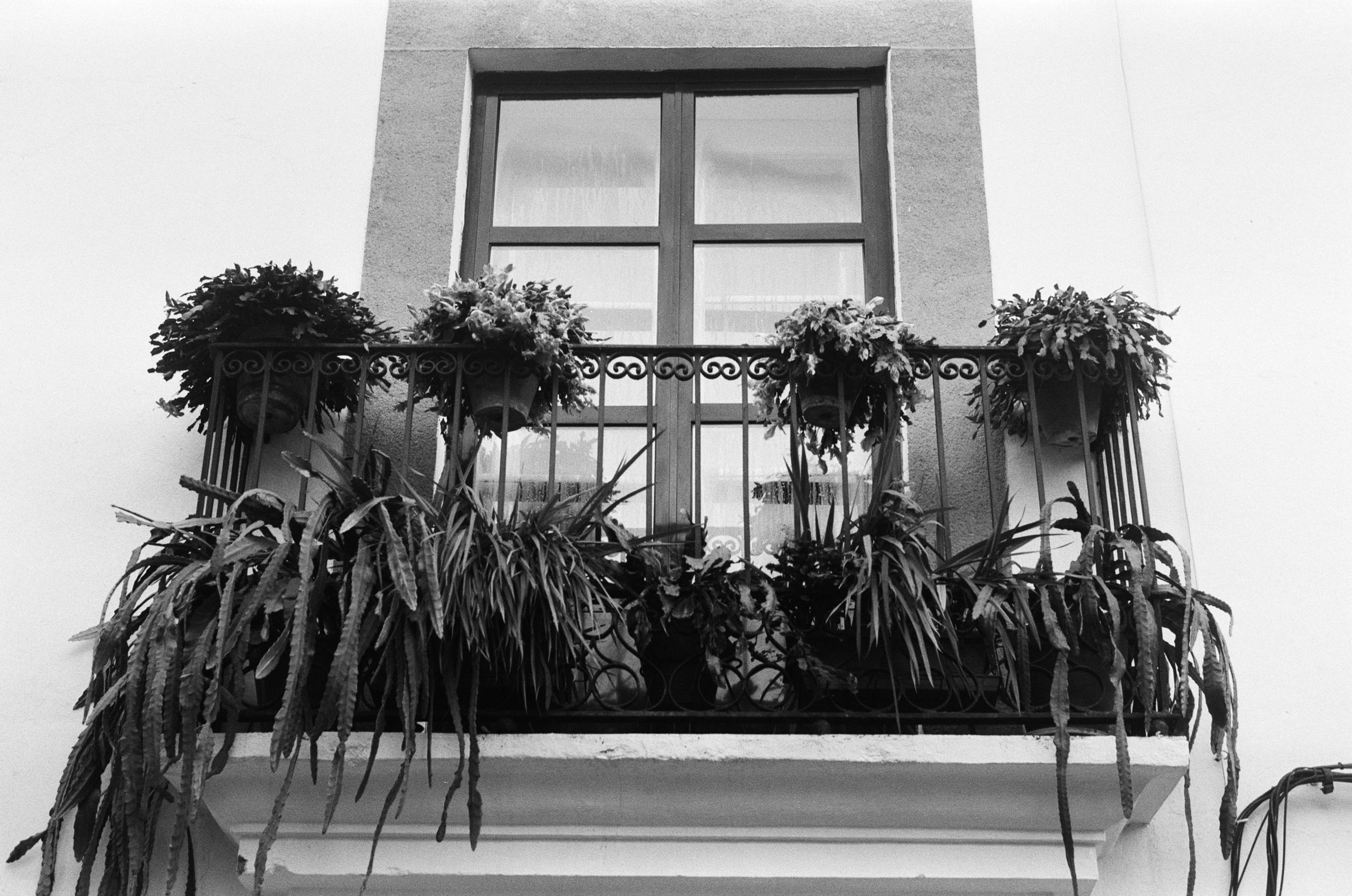 Spanish sahara // spain, caceres. EVER EXPOSED