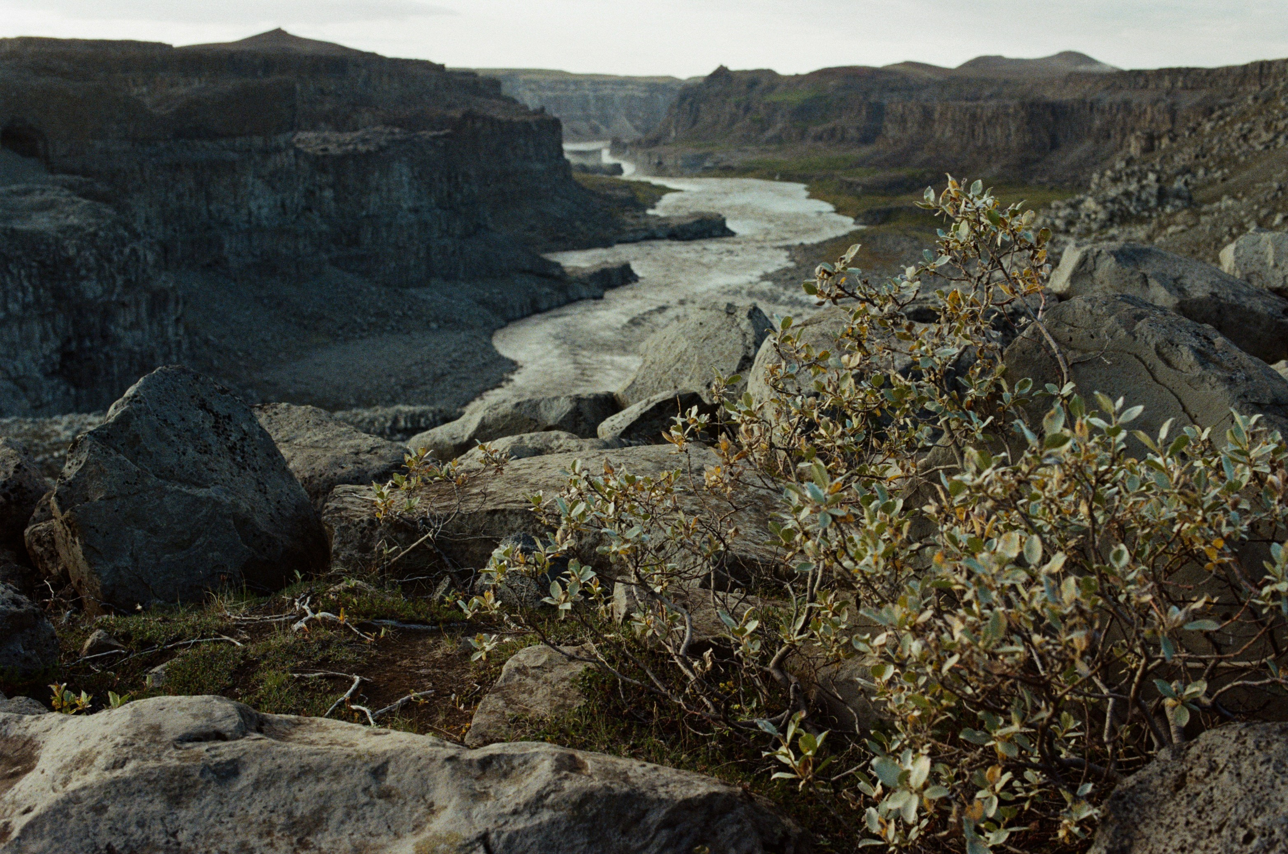 Vor i vaglaskogi // iceland, 864 hólsfjallavegur. EVER EXPOSED