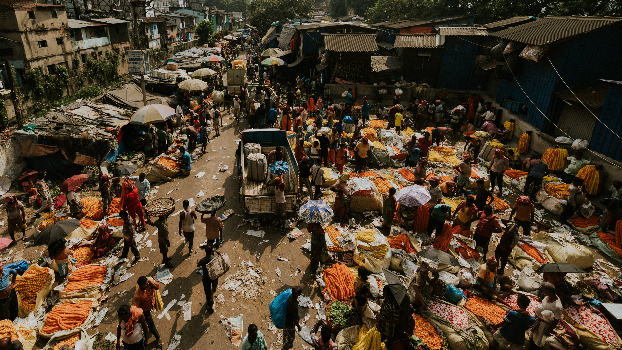 Путешествия. Оператор Мария Боровкова