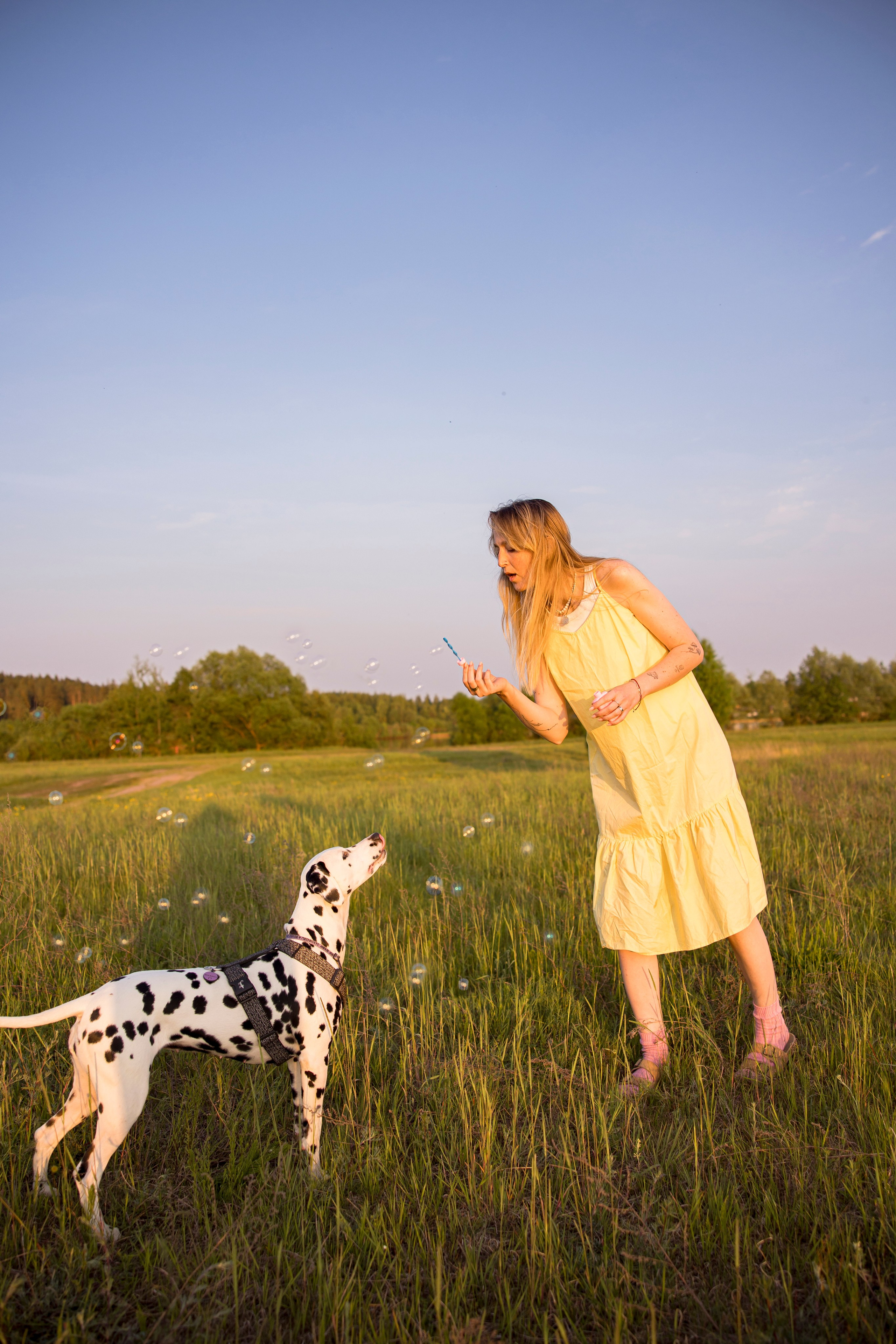 Съемка с собакой. Анастасия Белаш