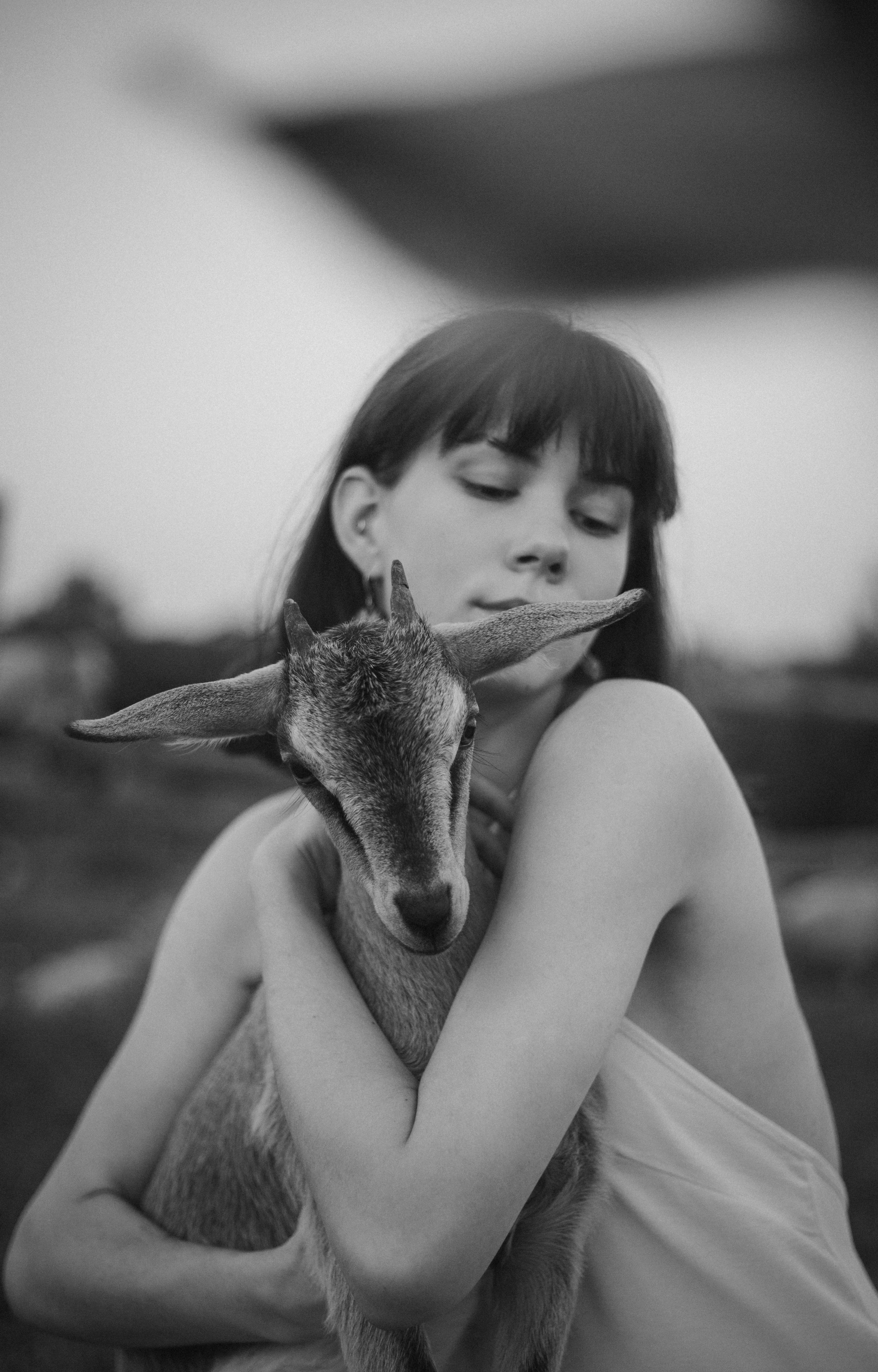 Охота на овец. Портретный фотограф в Минске