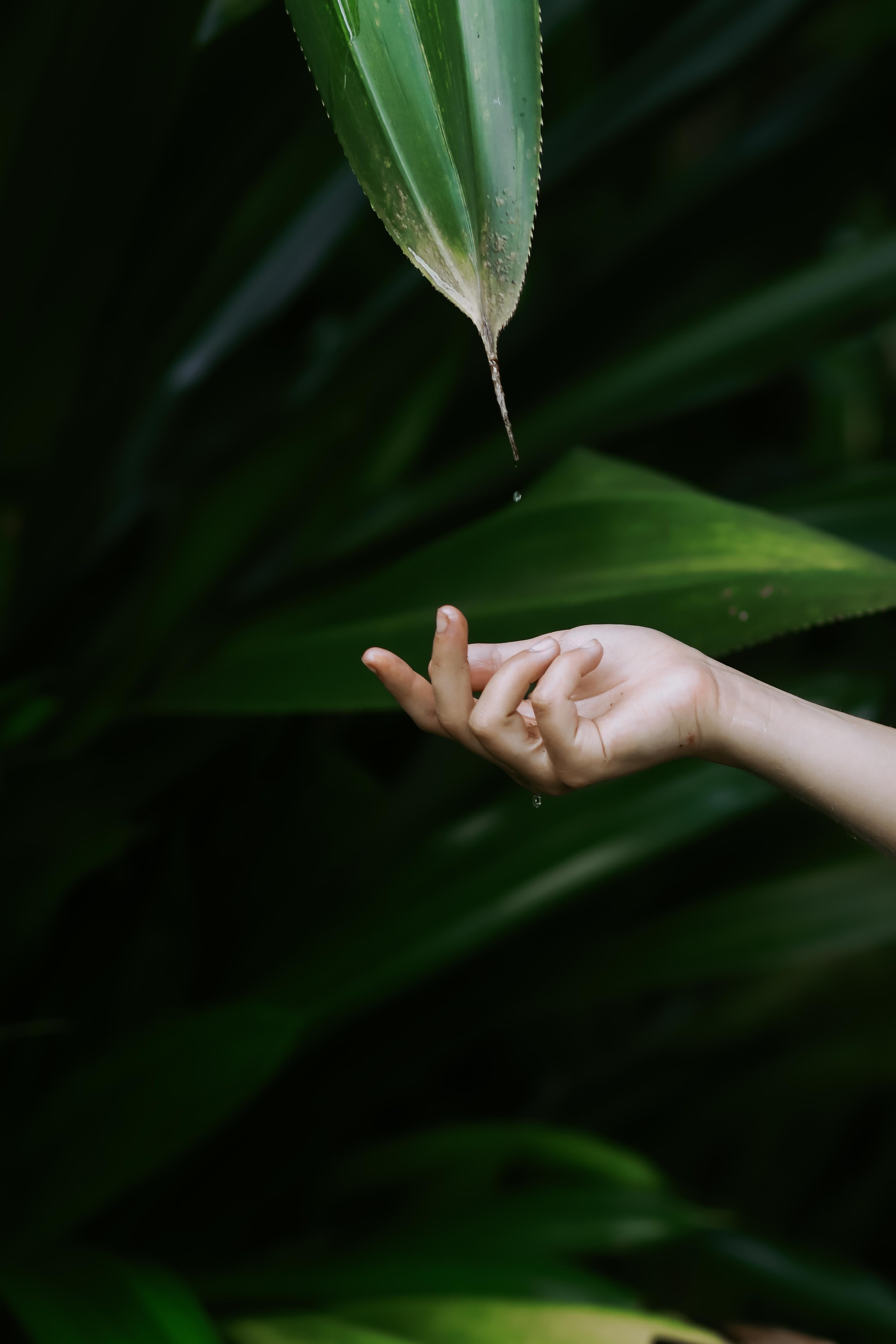 Массажист Дарина. Фотограф на Шри-Ланке
