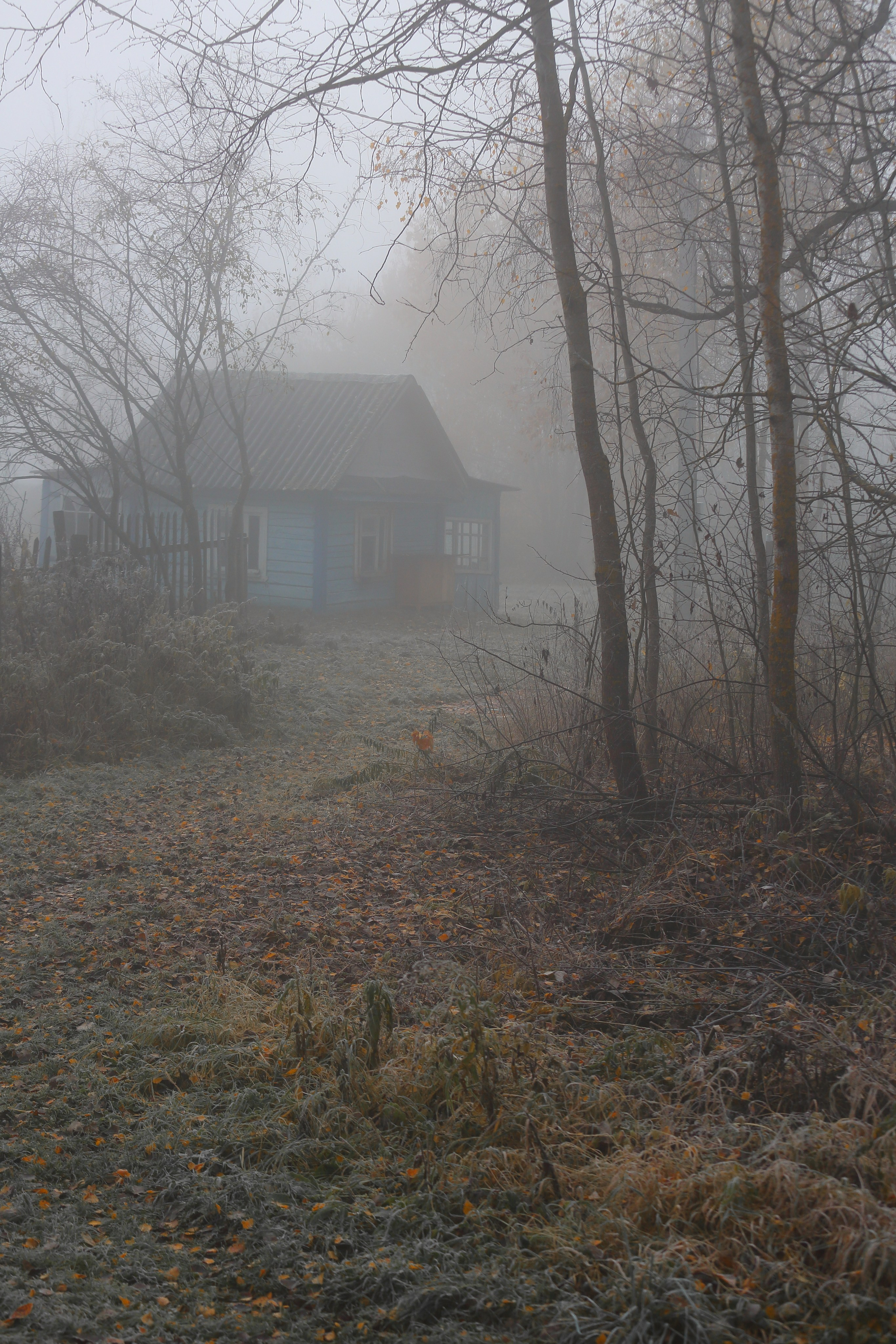 Туманный октябрь. Свадебный и репортажный фотограф в Ярославле и Санкт-Петербурге Роман Микрюков