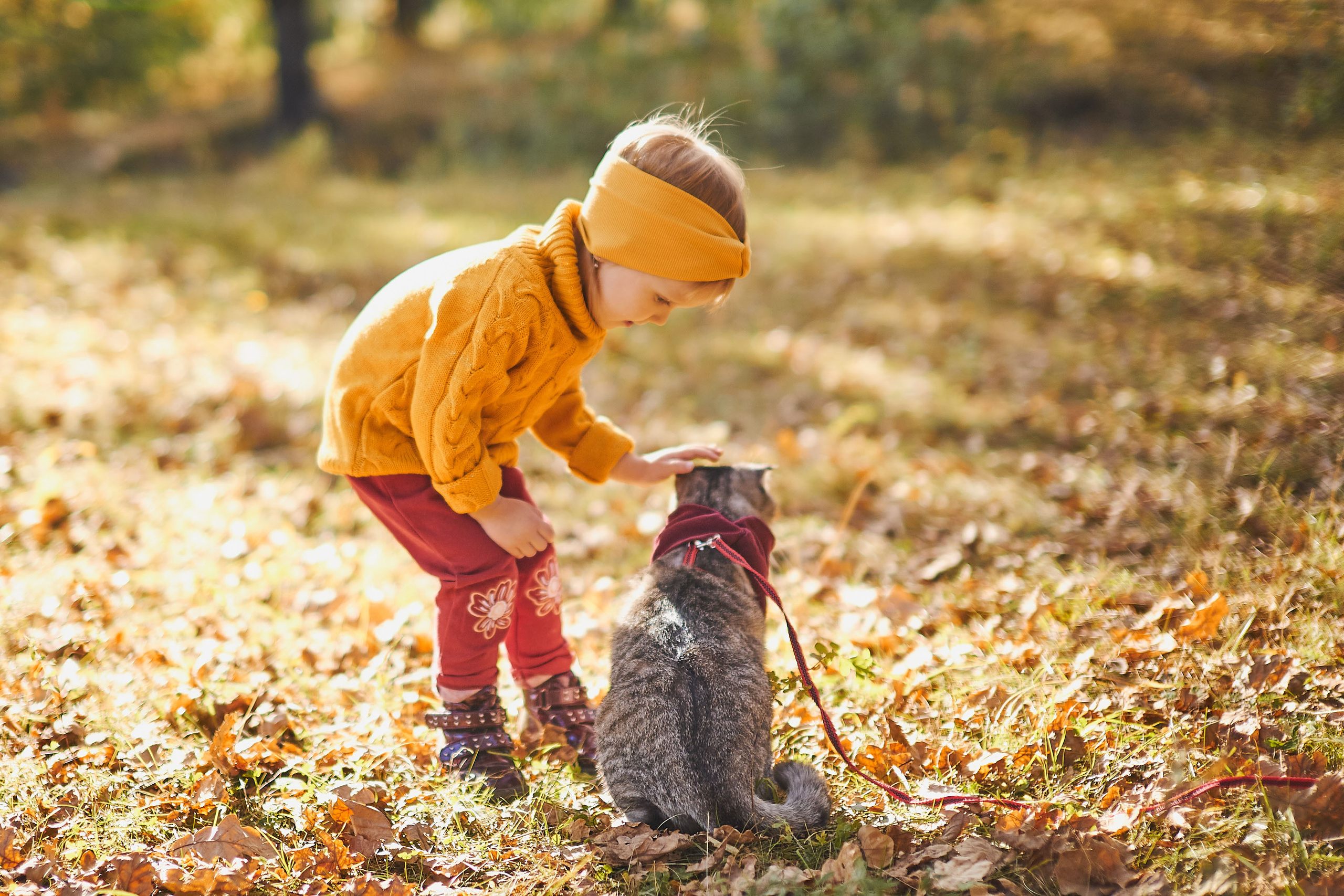 Семейные фотосессии. Свадебный Семейный Фотограф Евгений Тактаев Дзержинск Нижний Новгород
