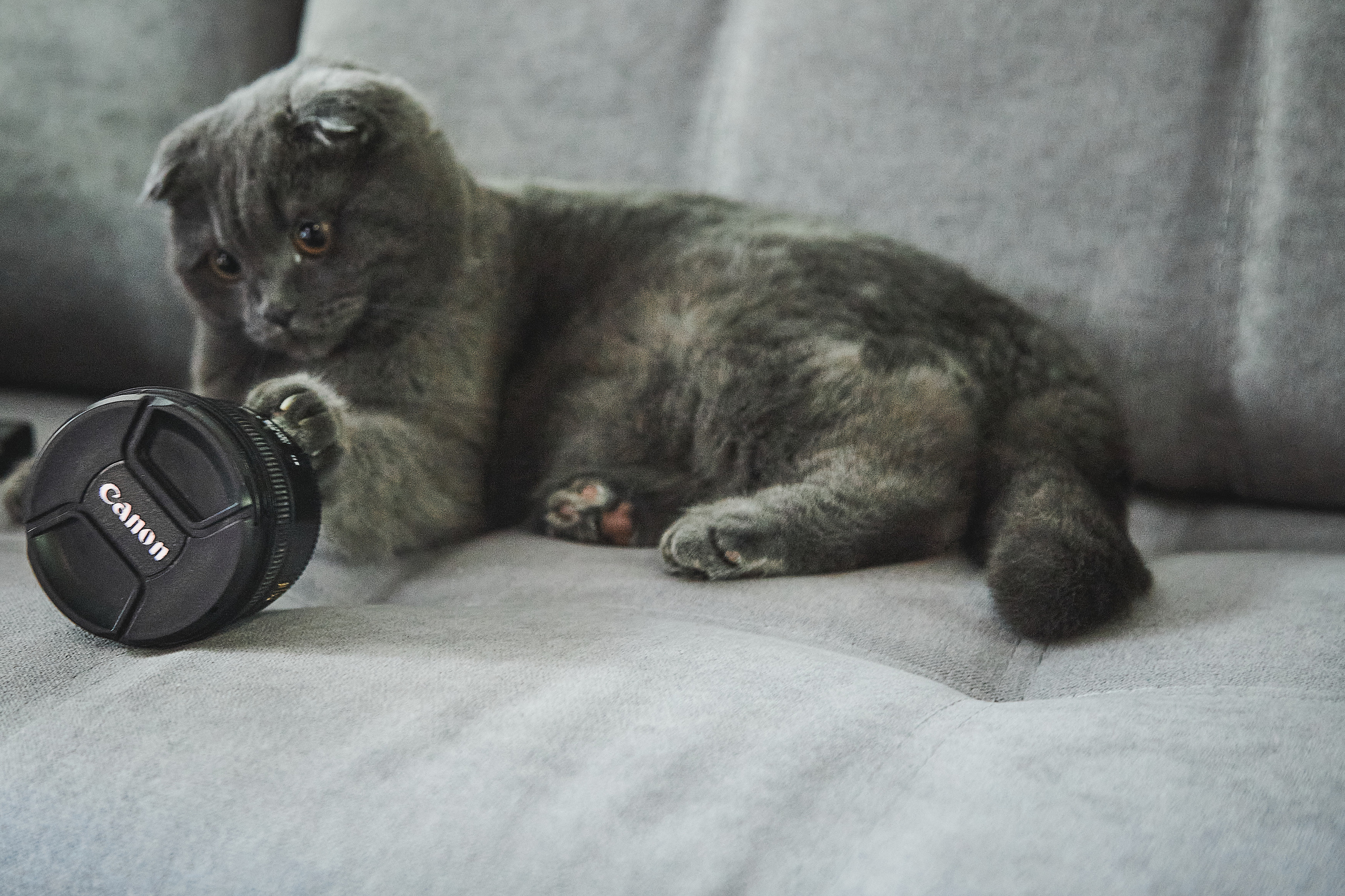 Свадьбы. Свадебный Семейный Фотограф Евгений Тактаев Дзержинск Нижний Новгород