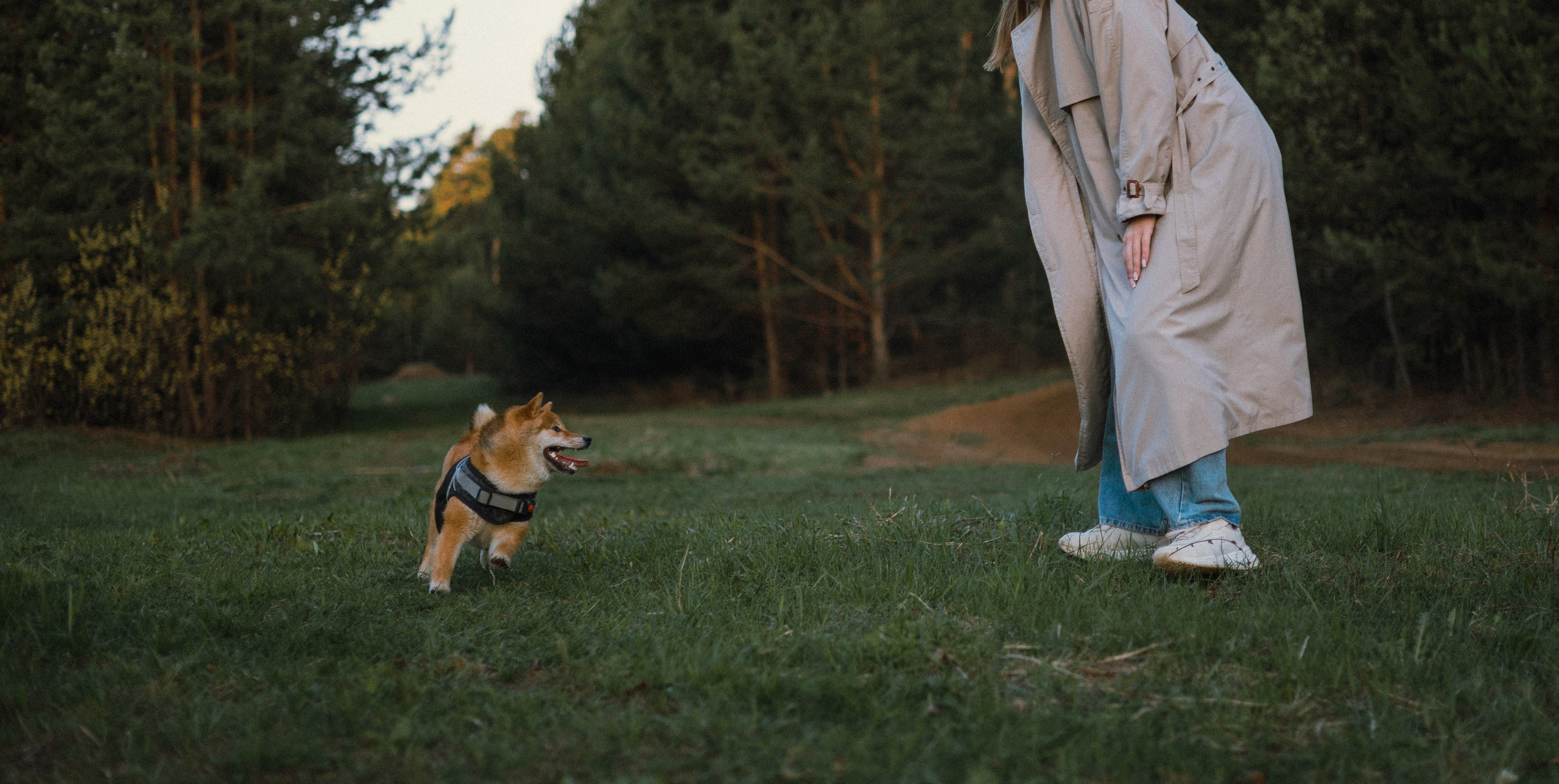 Аня и Шани. Фотограф-анималист Богданова Полина
