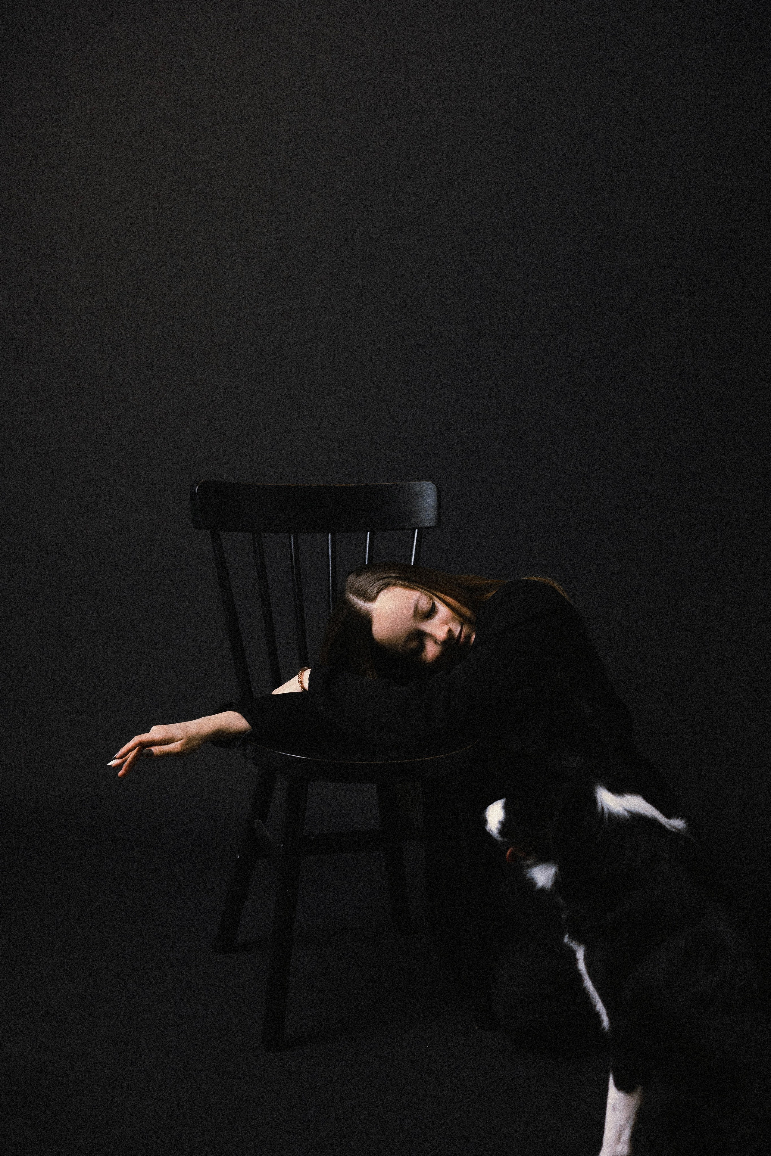 Даша, Дже и Рива. Фотограф-анималист Богданова Полина