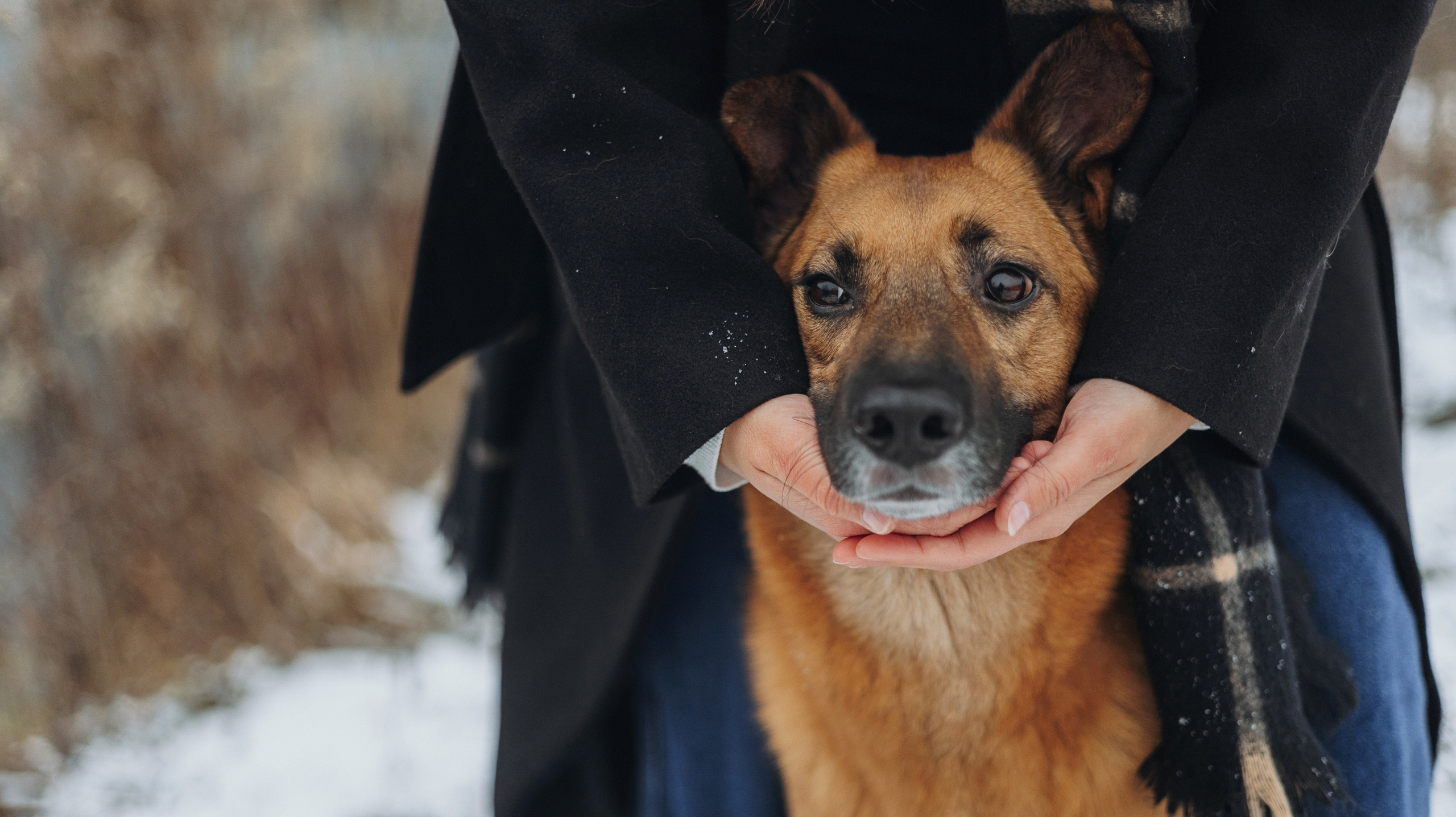 Юля, Лара и Йоми. Фотограф-анималист Богданова Полина