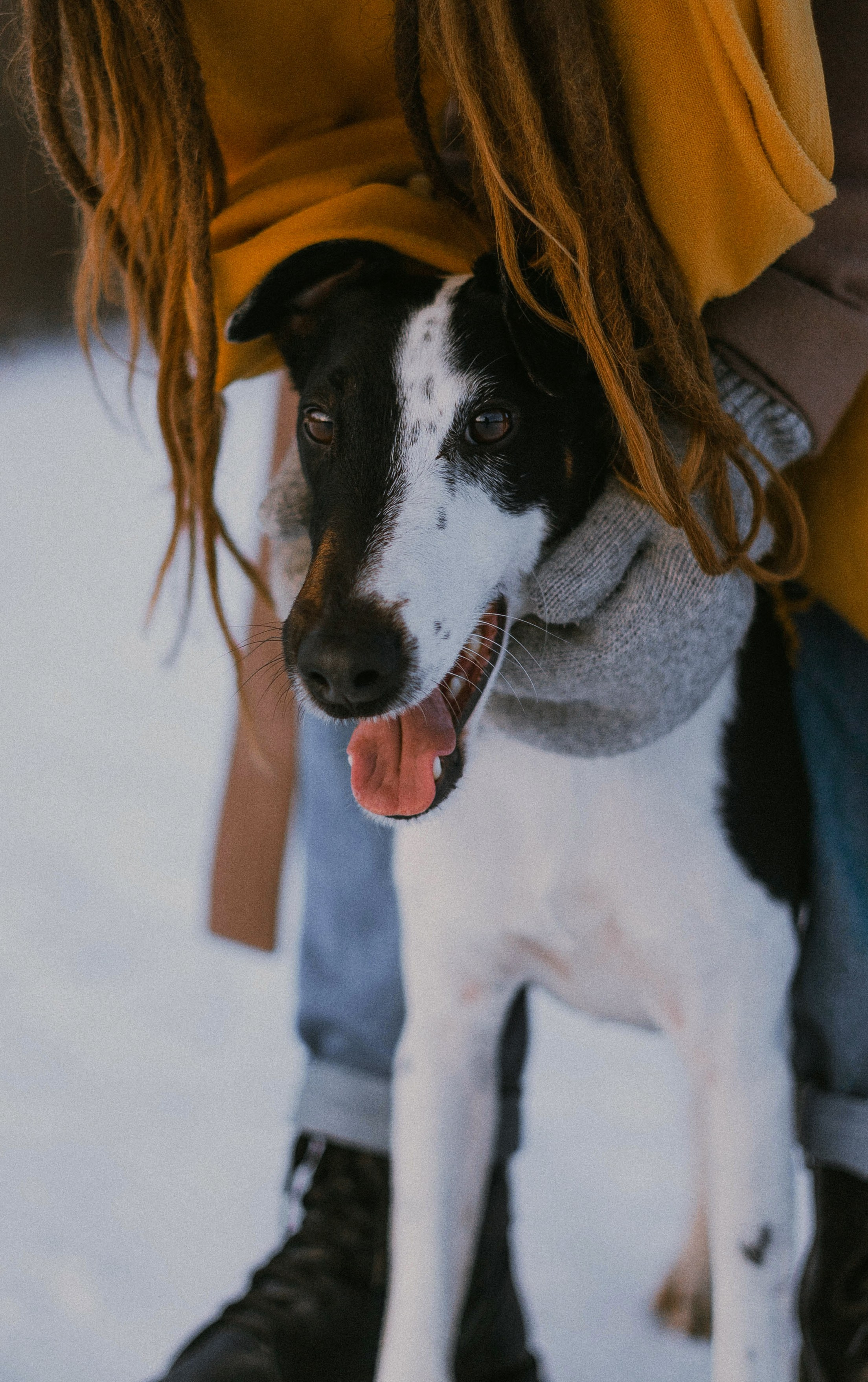 Ольга и Сэм. Фотограф-анималист Богданова Полина