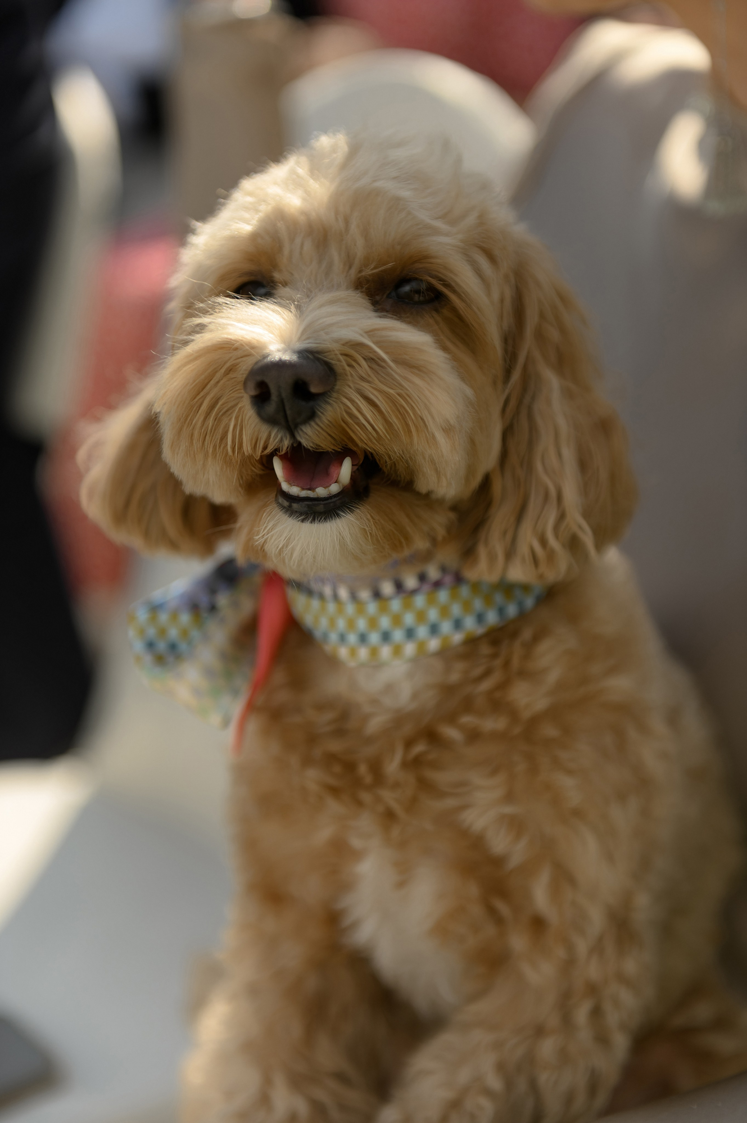 Сергей и Ирина. Свадебный и семейный фотограф Ангелина Нусина