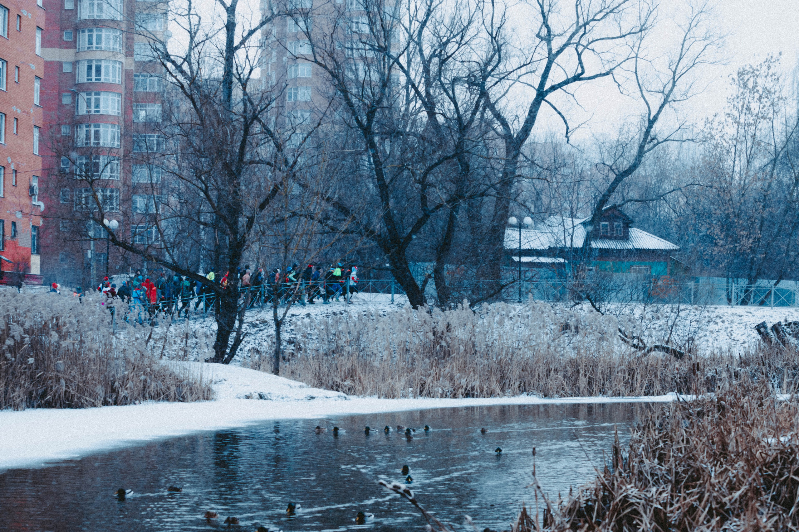 Марафон у дома_Мытищи. Александра Мельниченко/ Бегающий фотограф