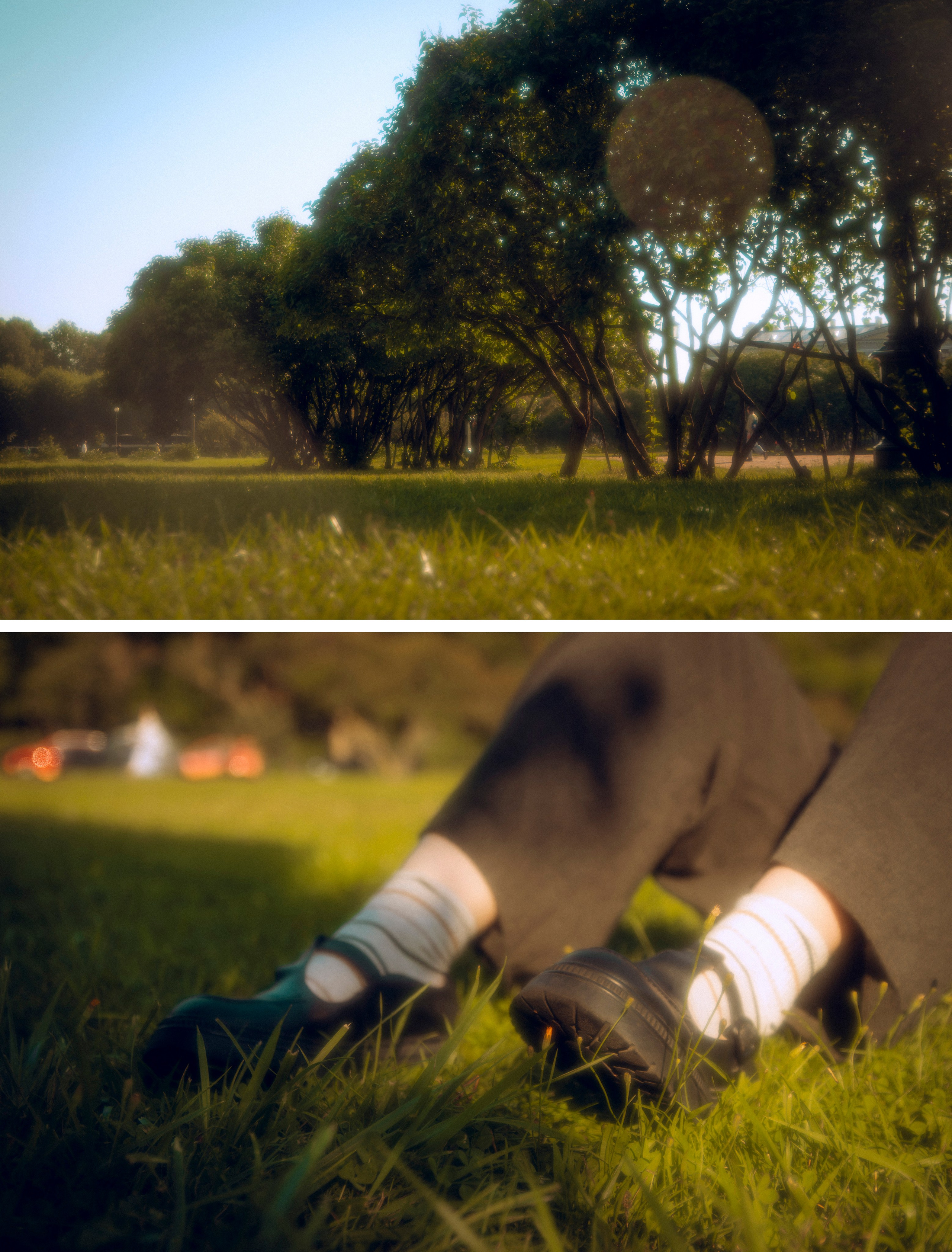 Из наблюдений. Плак или Квак