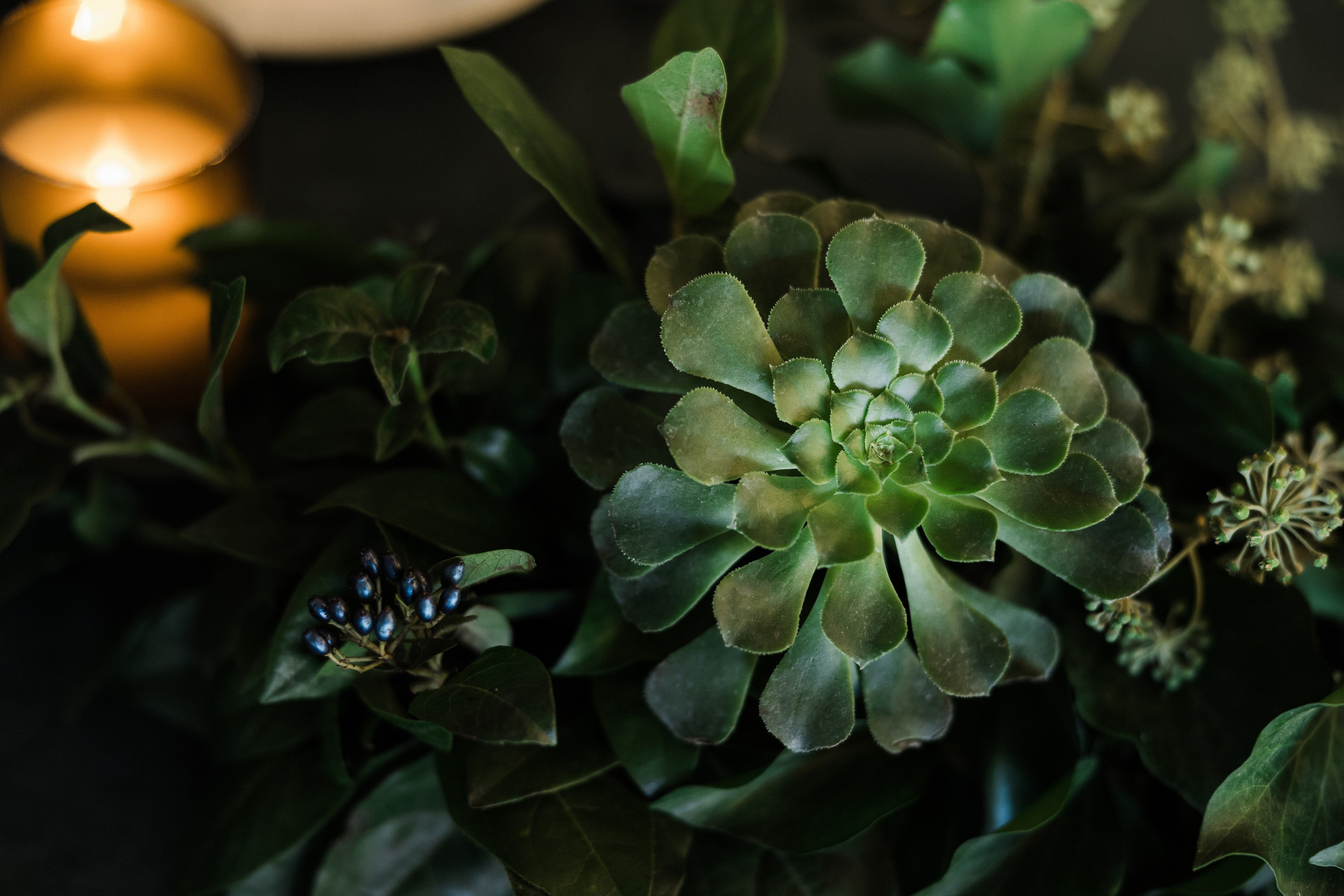 Павел и Дарья. Фотограф Айвазова Наталья Краснодар