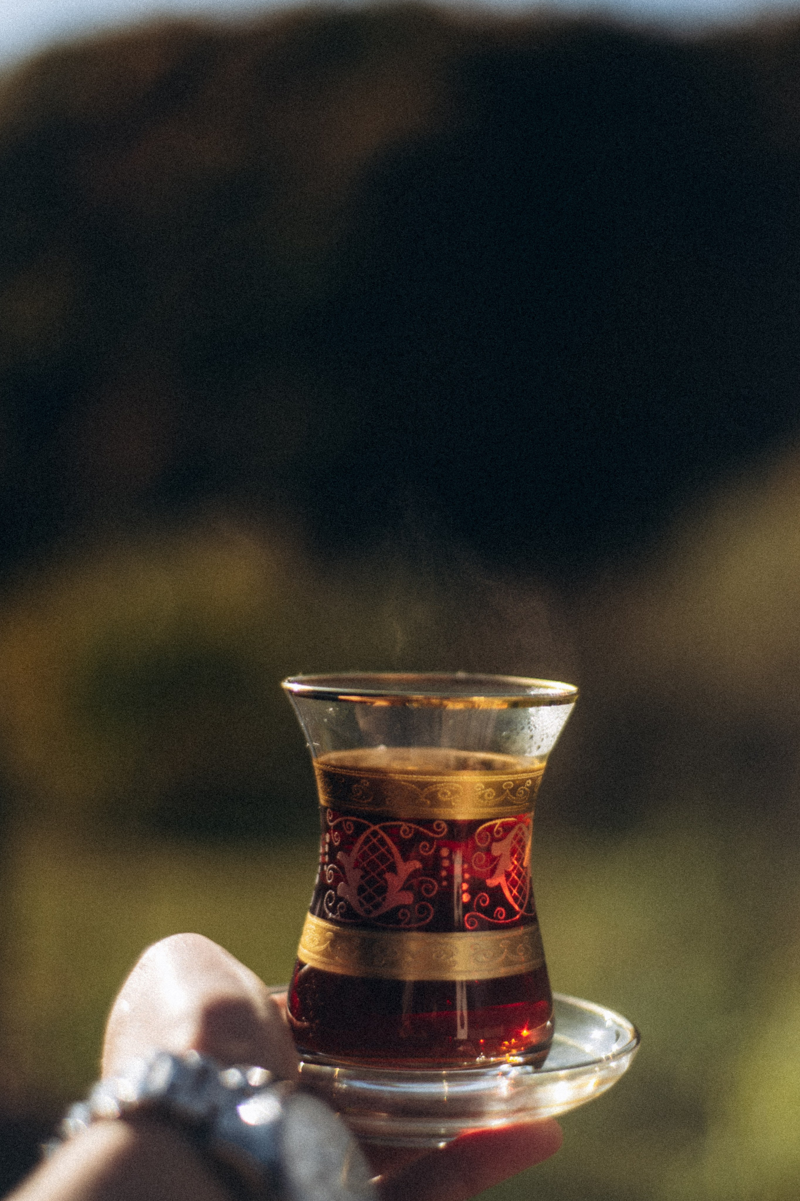 Конный поход 🇬🇪 «PVD Club». Anita_photo